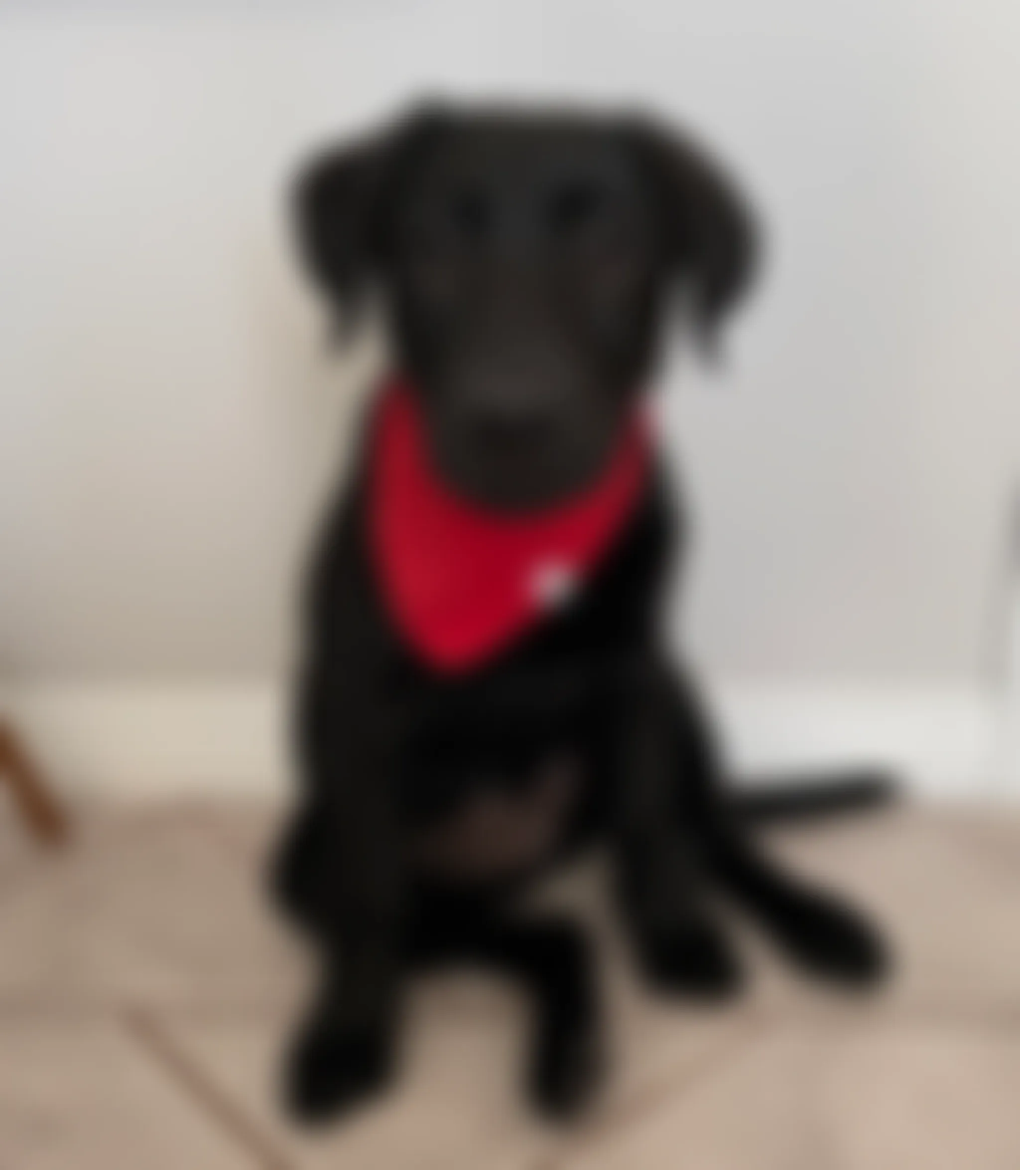 Cameron Lake Fishing Lodges Inc.