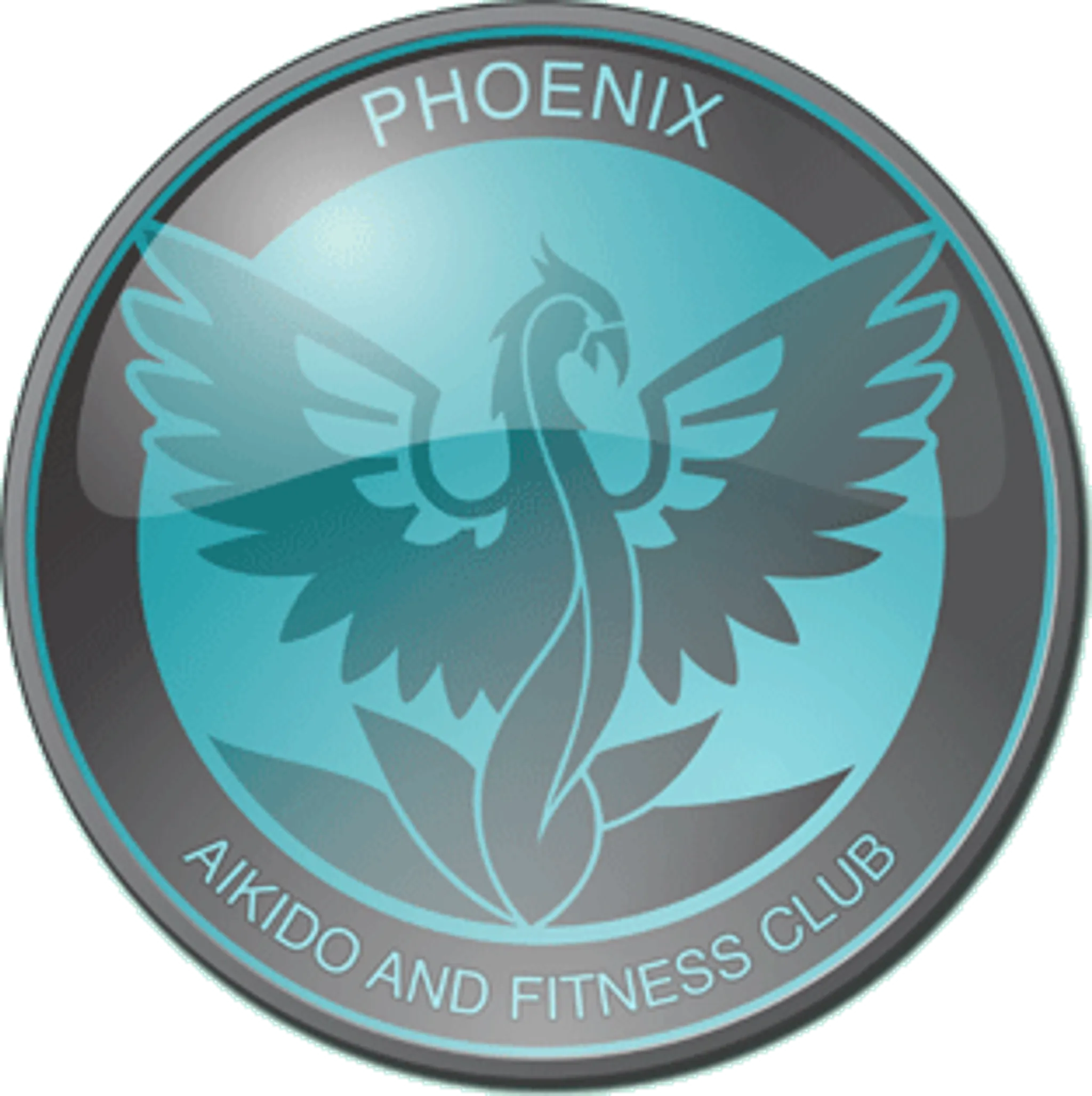 Phoenix Aikido & Fitness Club