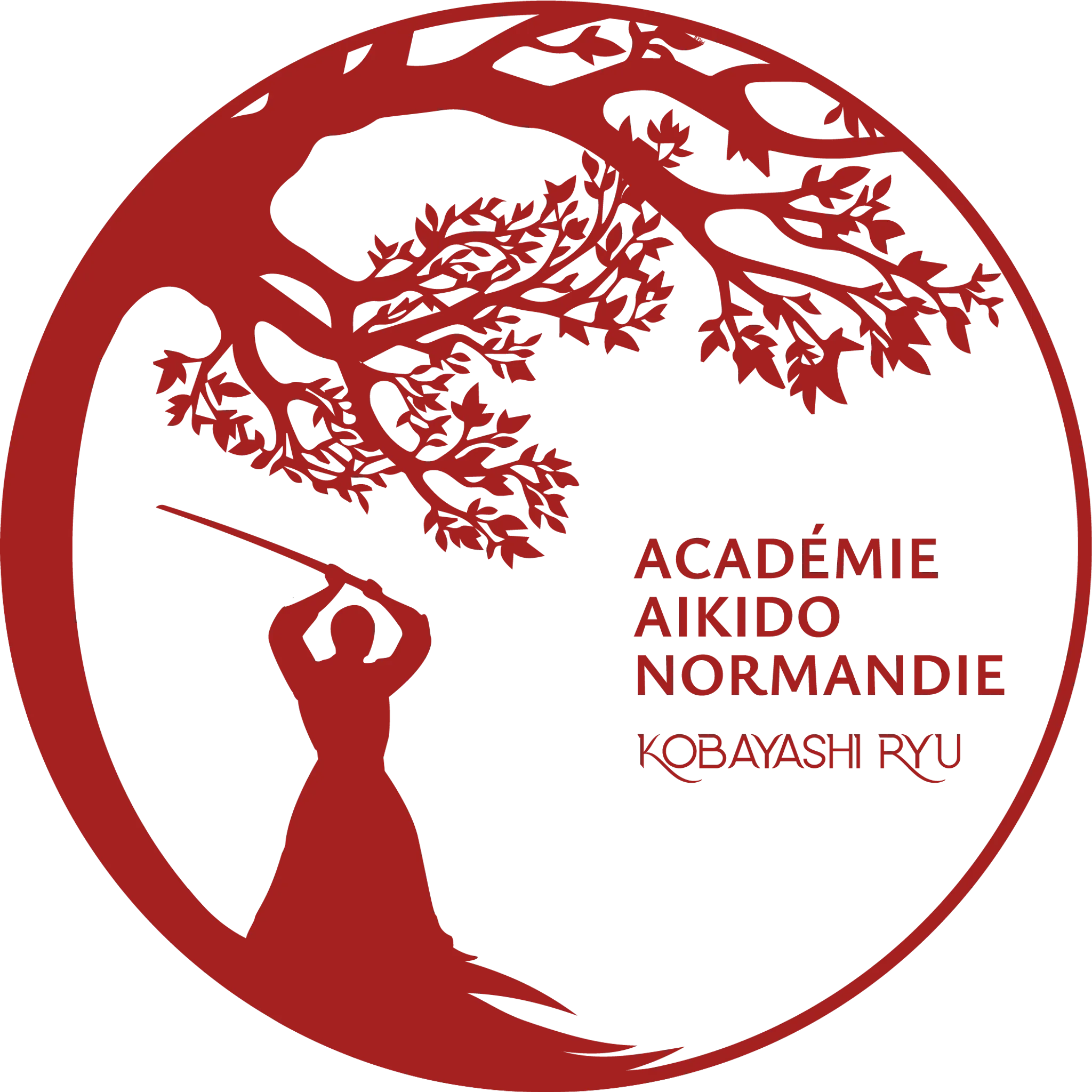 Academy Aikido De Normandie