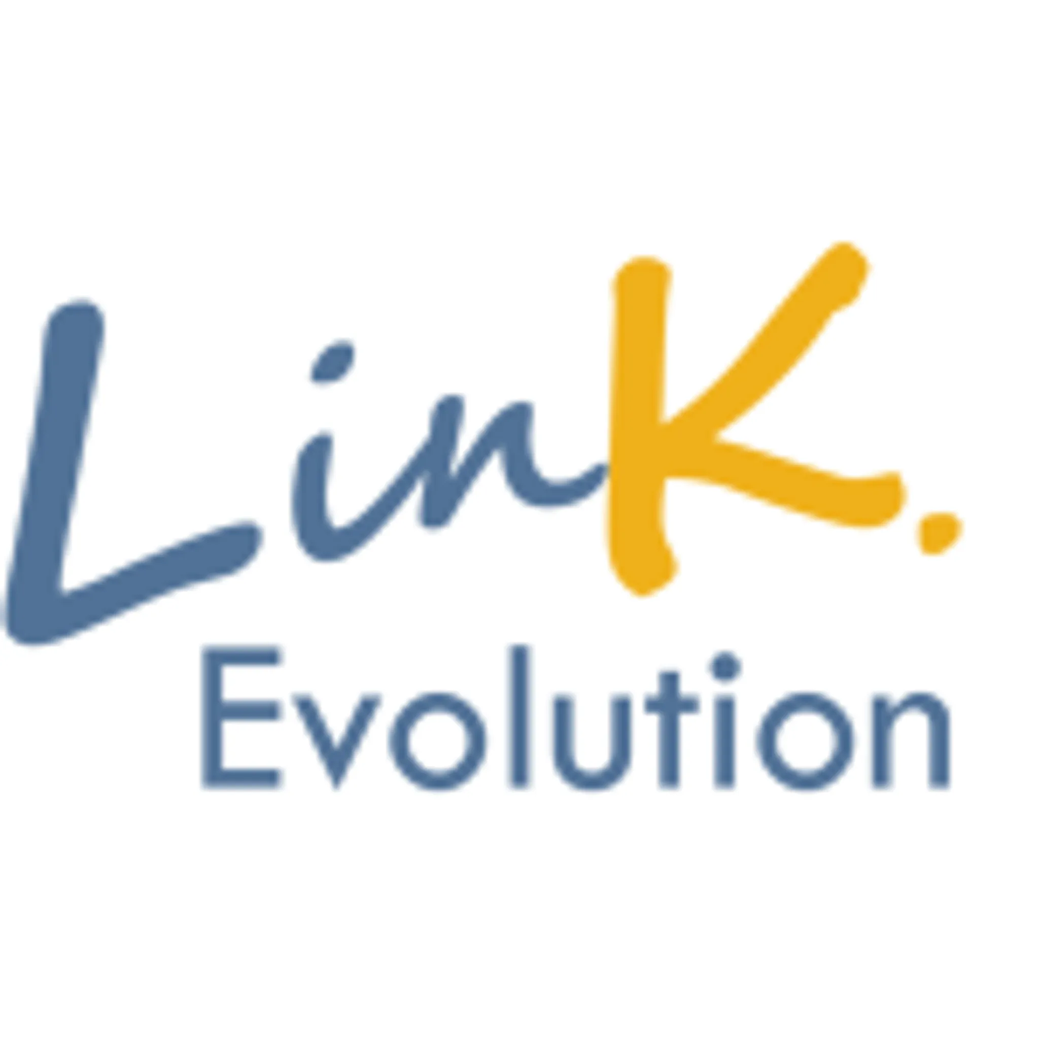 LinK. Evolution Morbihan - Auray & Vannes