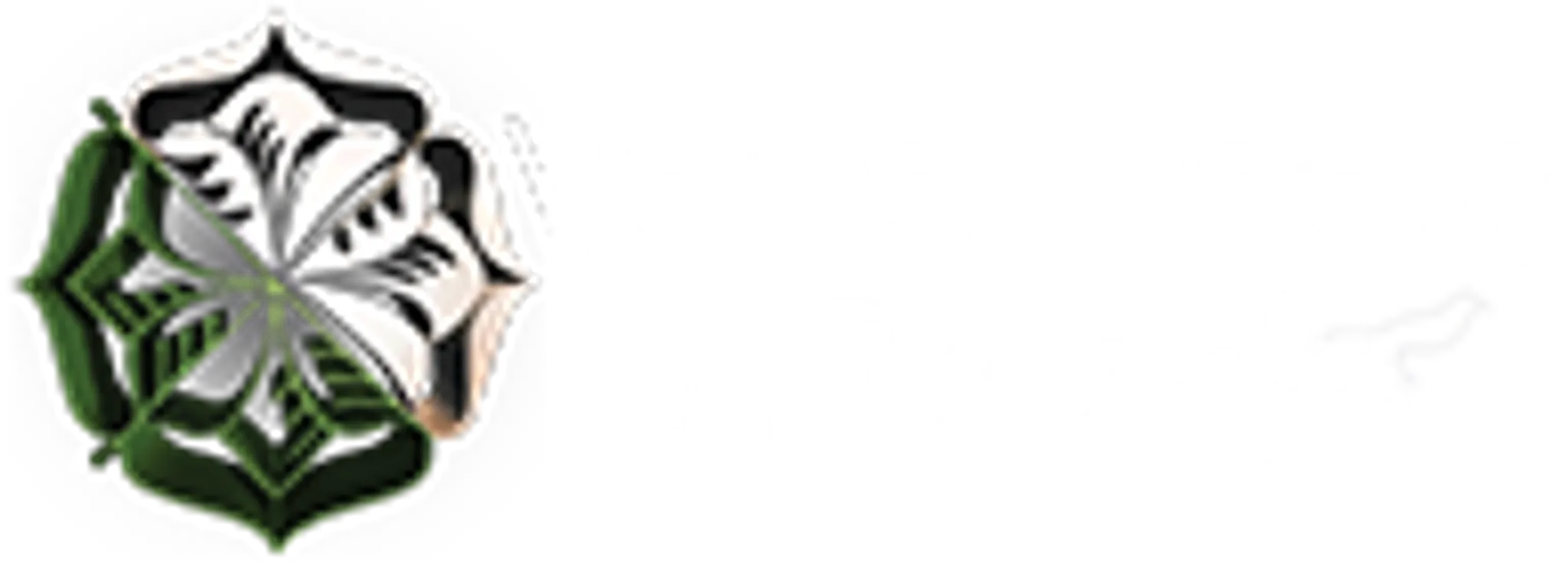 Verite Fitness & Beauty