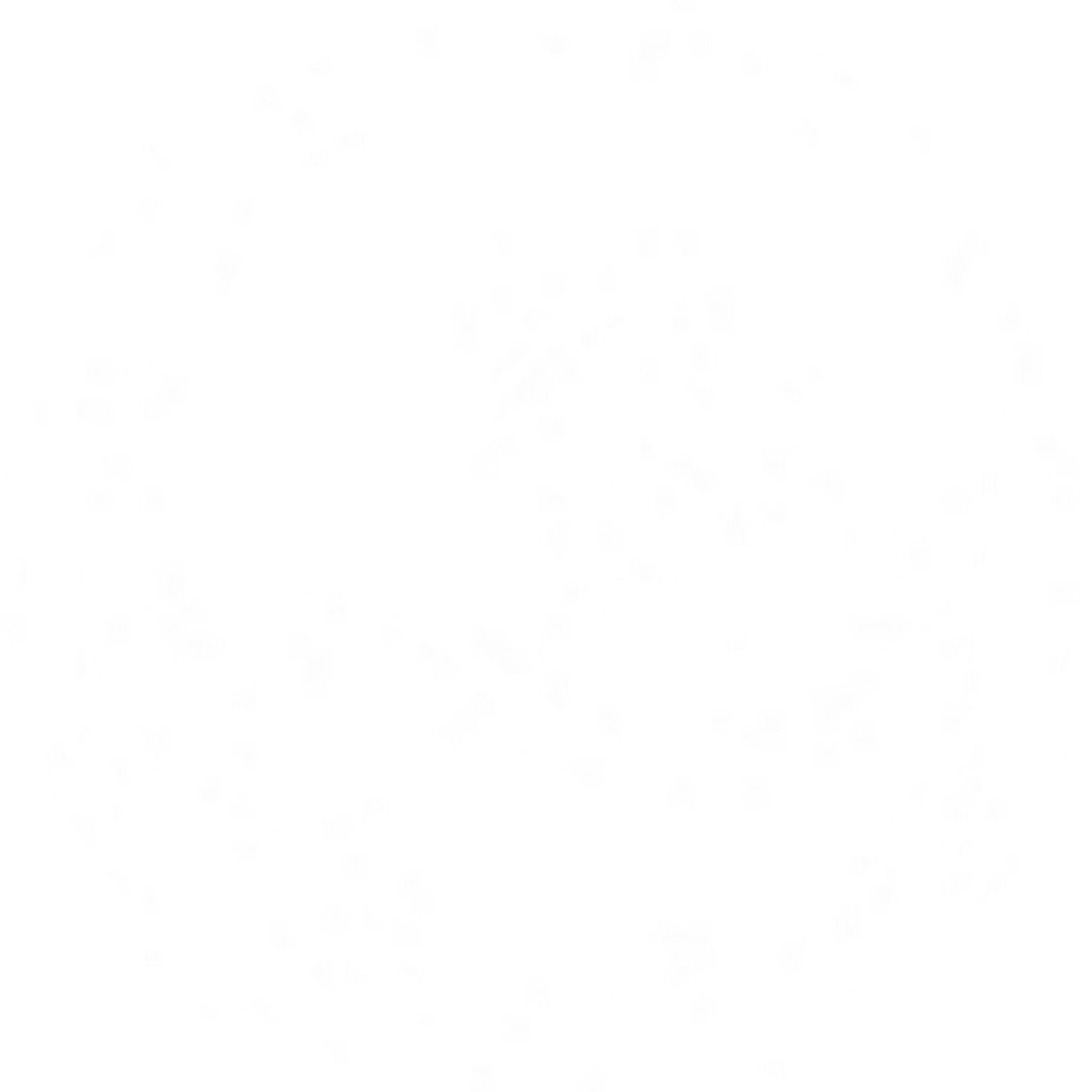 Beaches Cricket Coaching