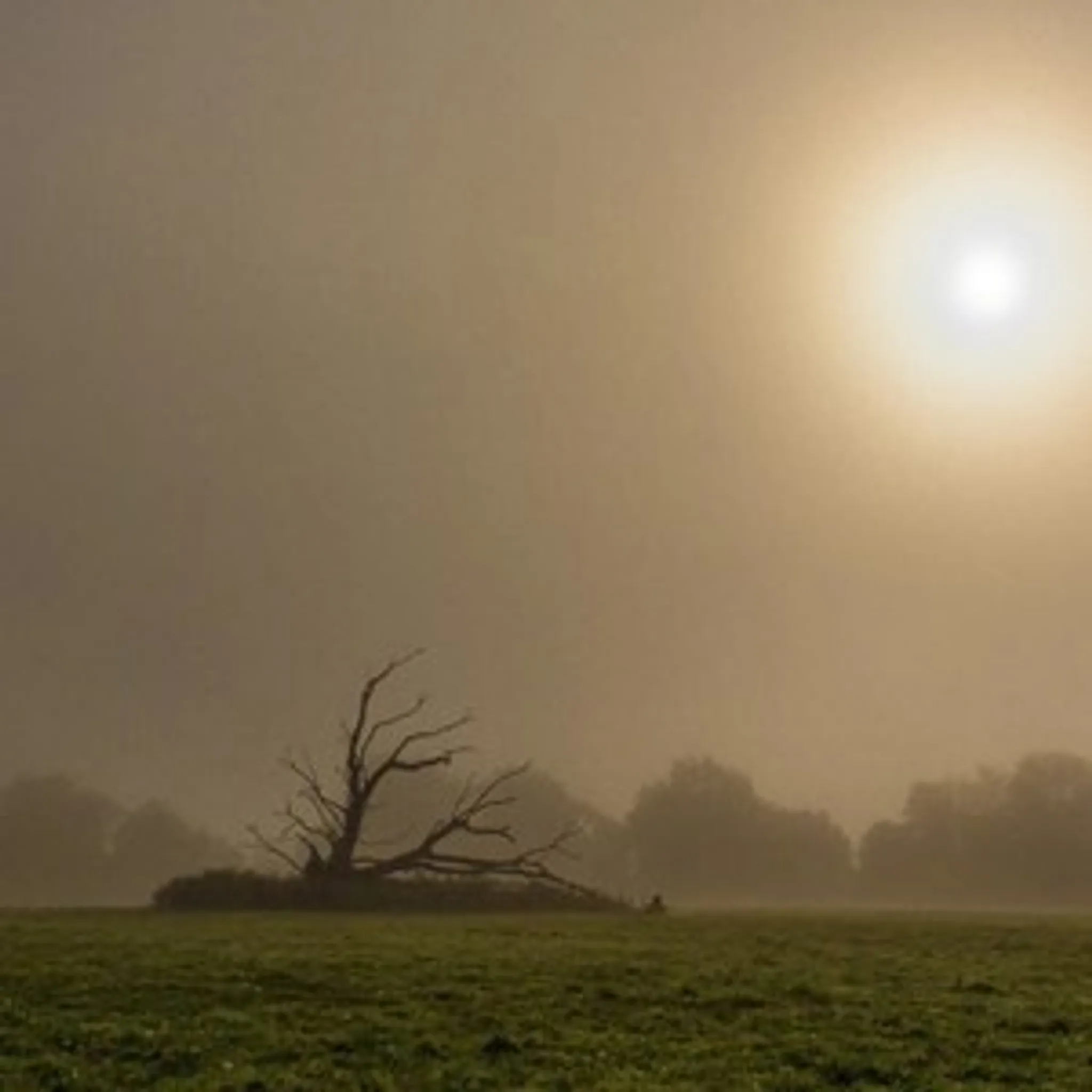 Upper Clatford Sports Fields