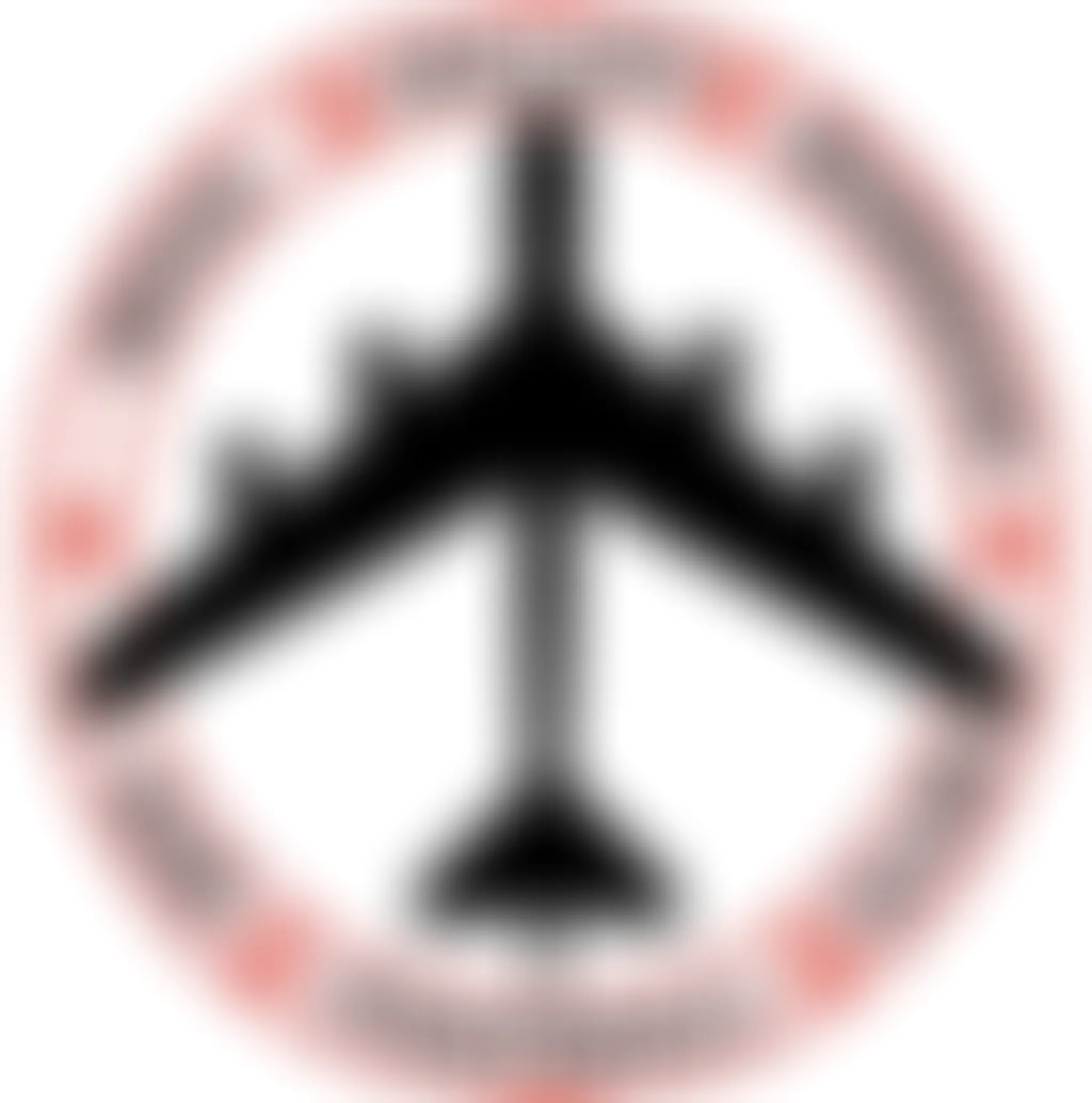 Bega Bombers AFL Club