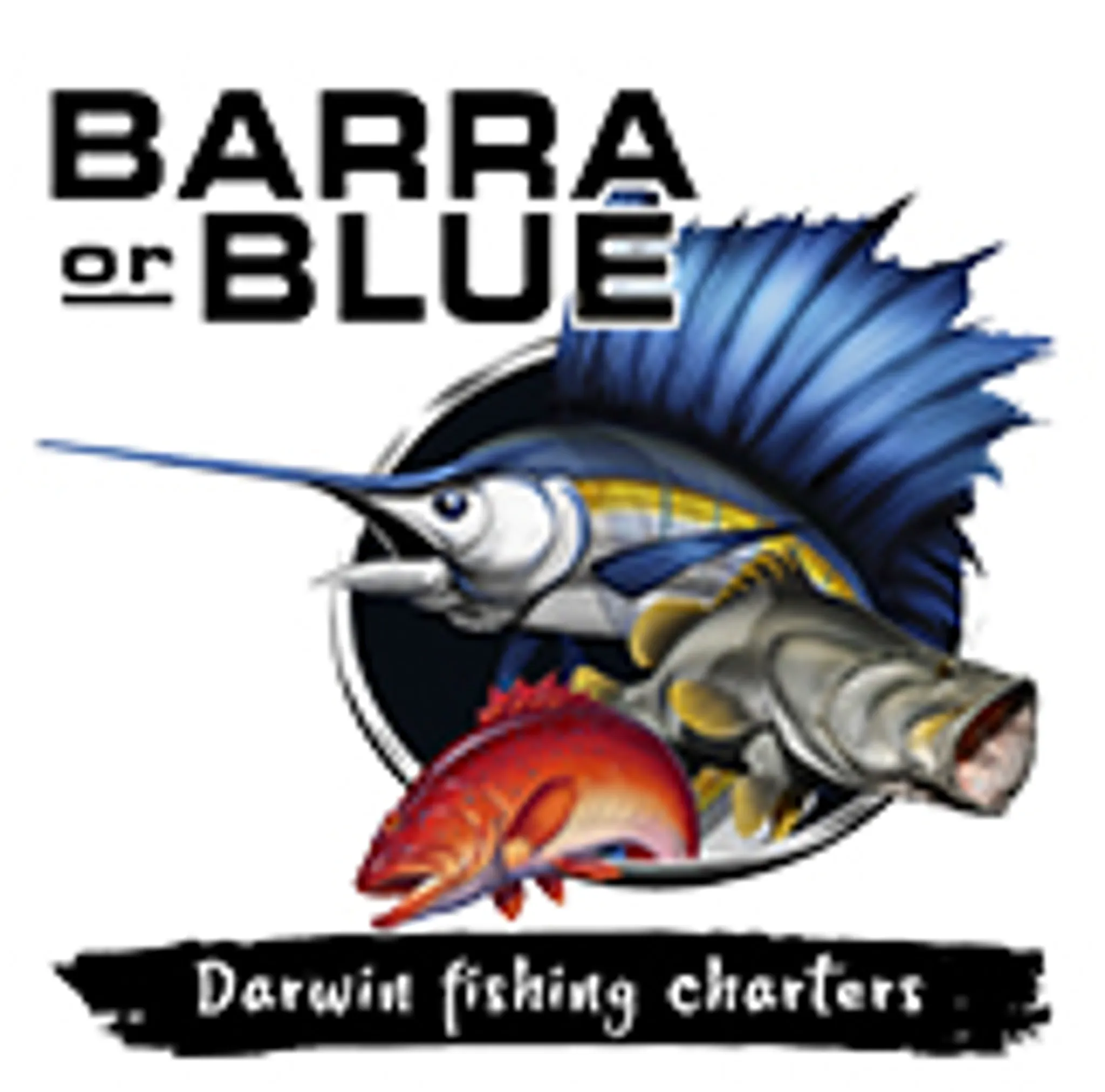 Barra Or Blue Fishing Charters