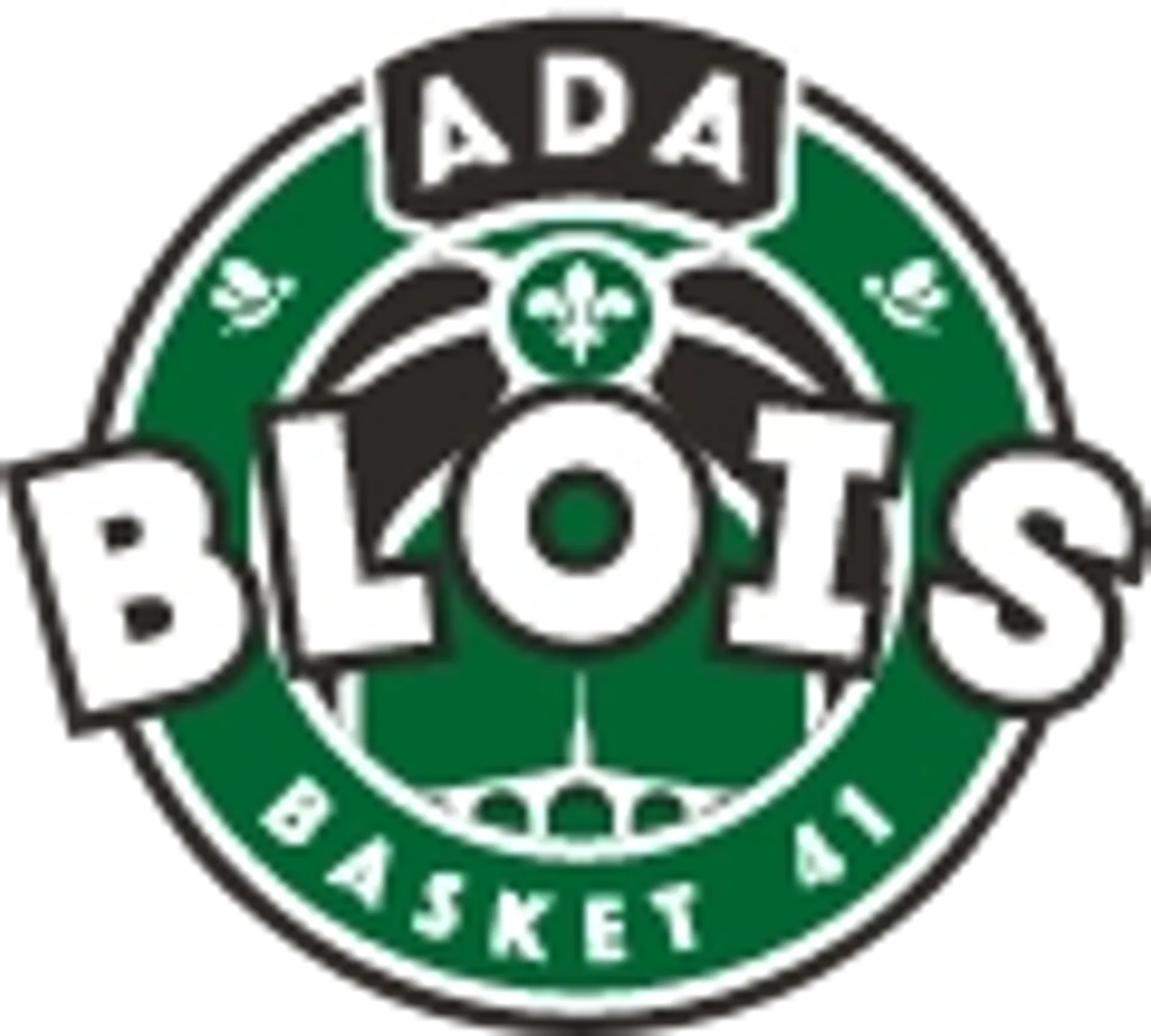 A.D.A. Blois Basketball 41