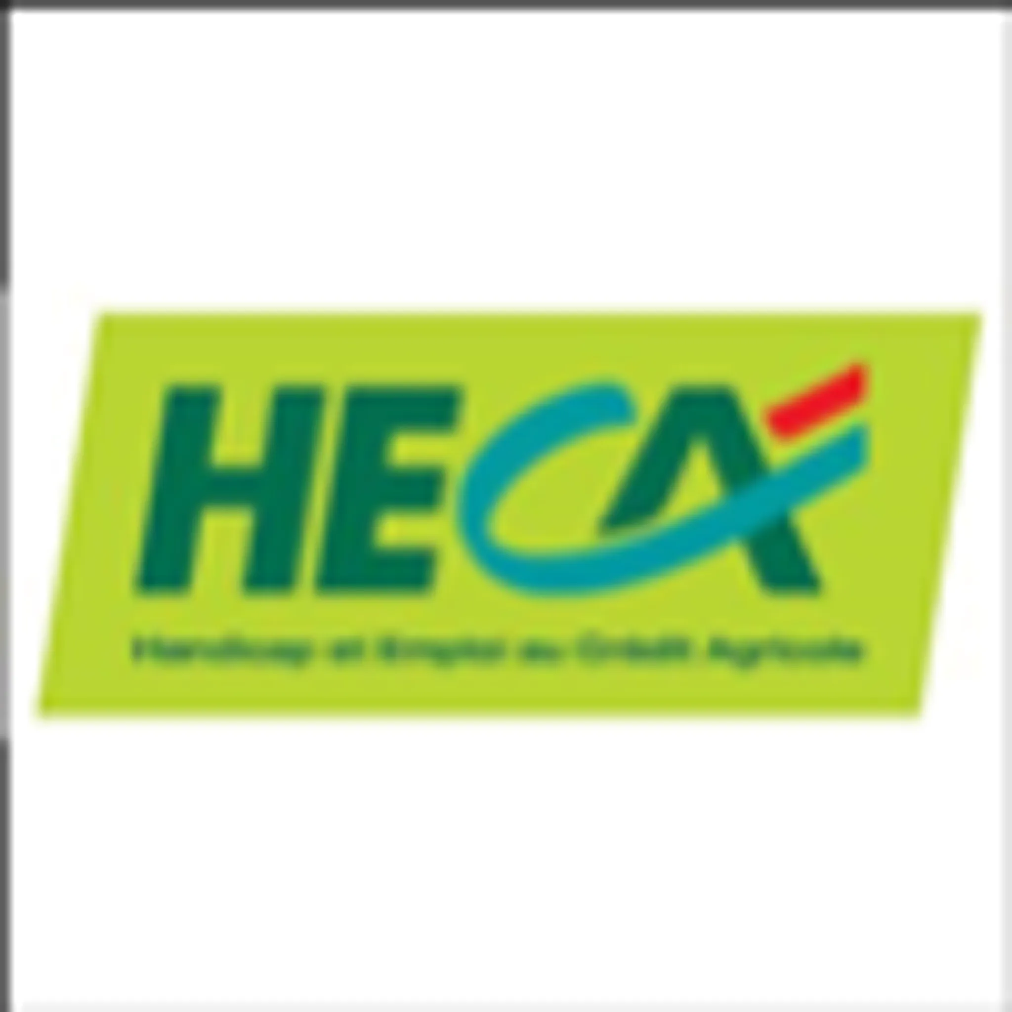 Flume Ille Badminton