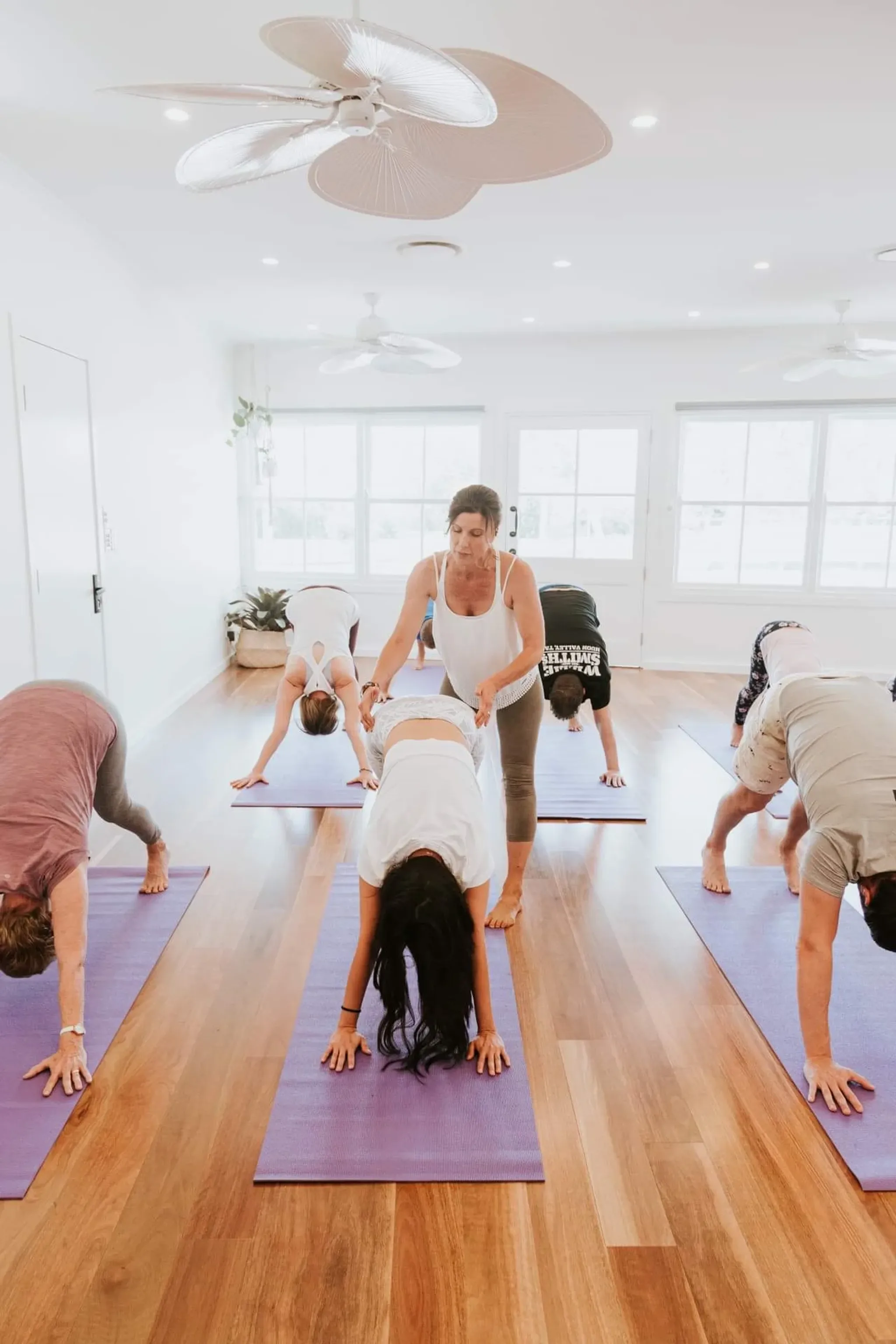 Multi-Level Adult Yoga Classes