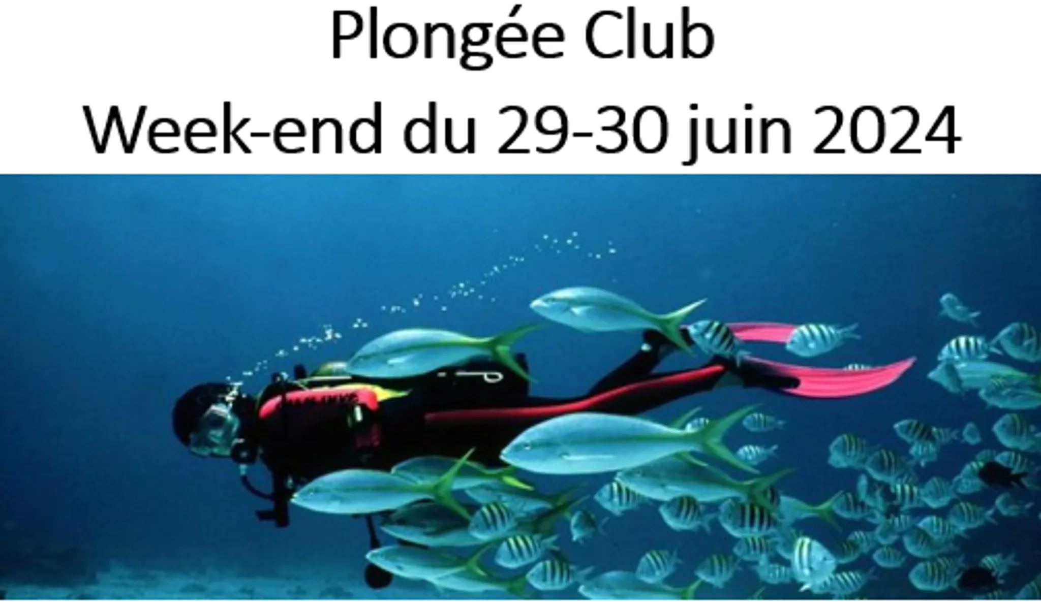 Club de Plongée - G.S.R.L.