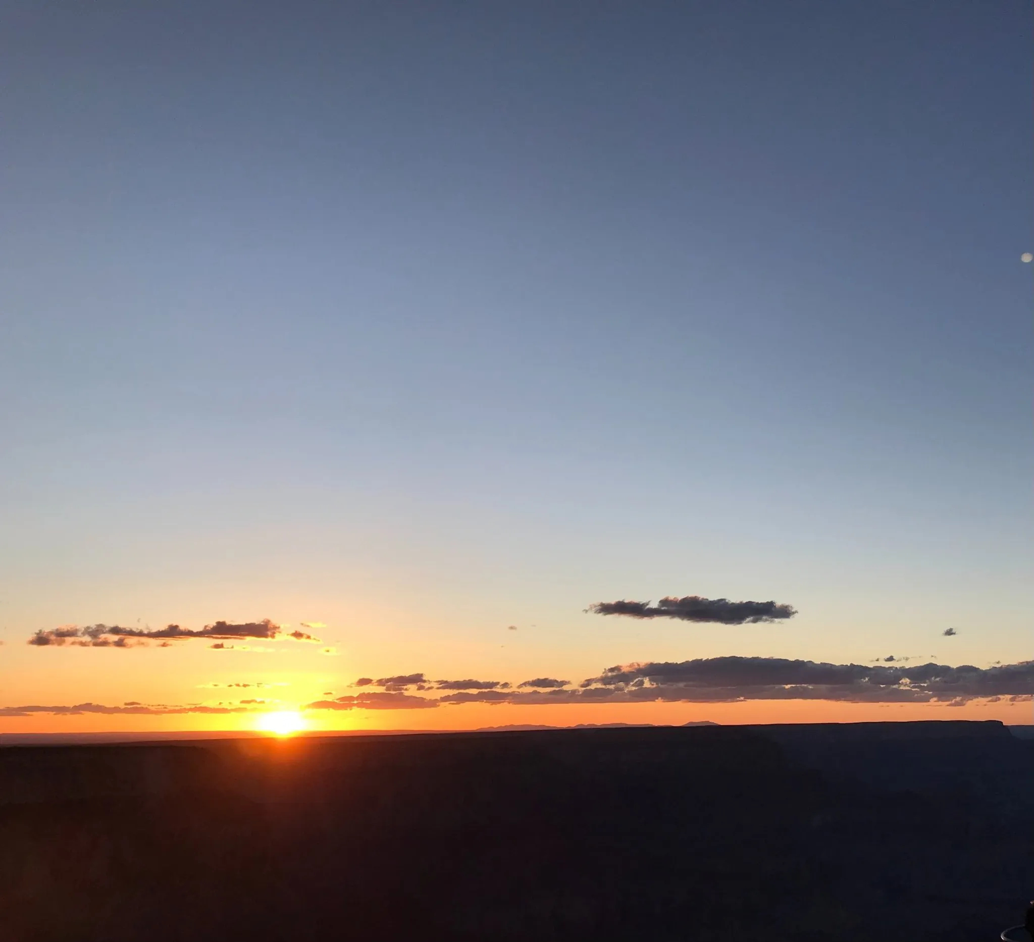 Bhakti Wellness Doula Services