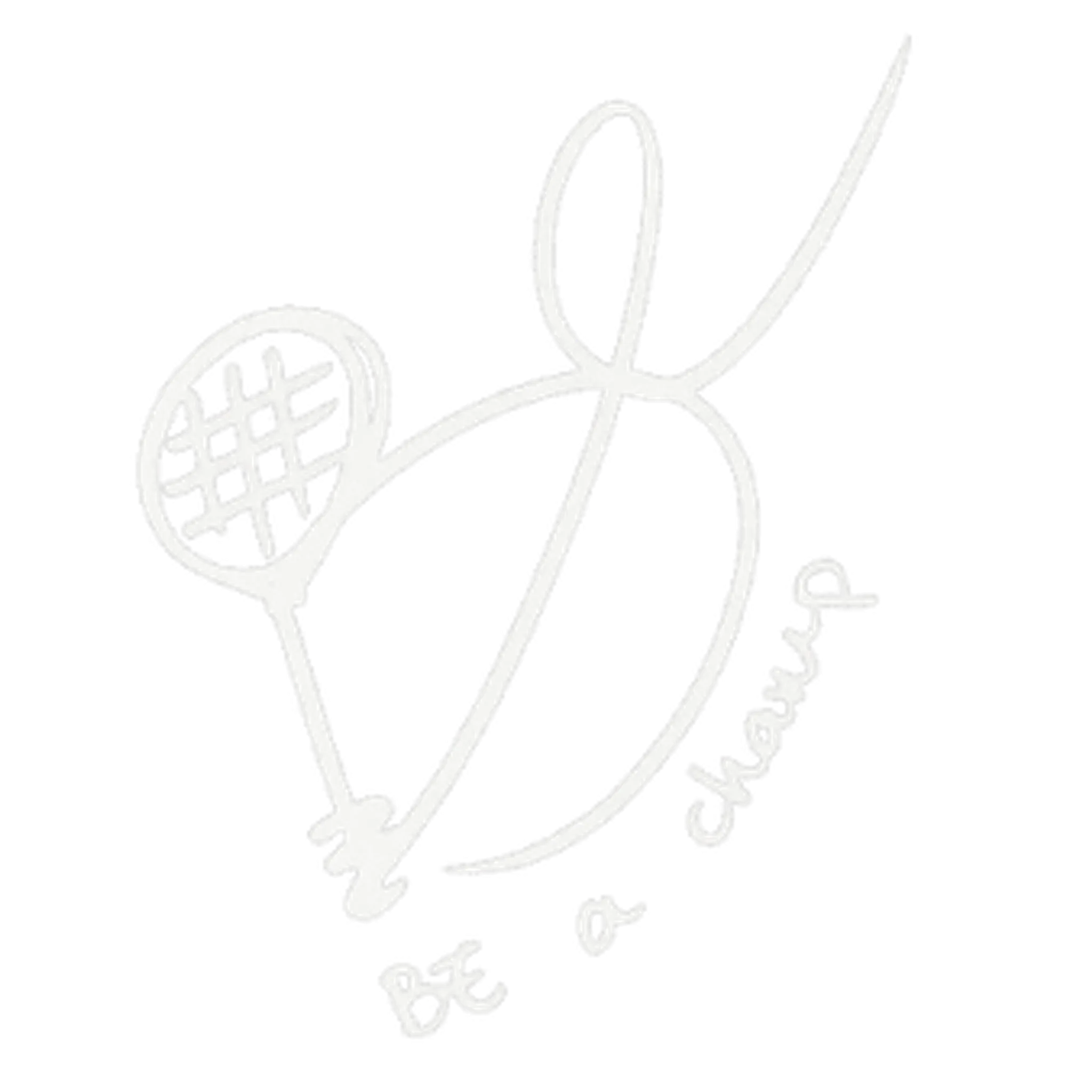 Be A Champ Badminton Academy