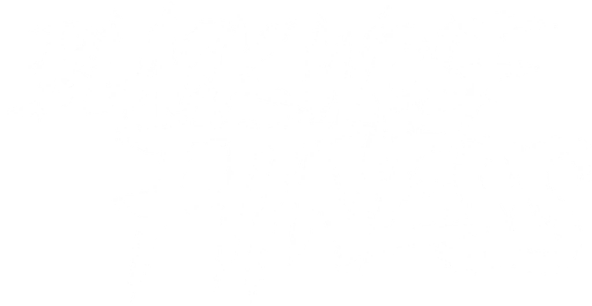 Black Wolf Fitness