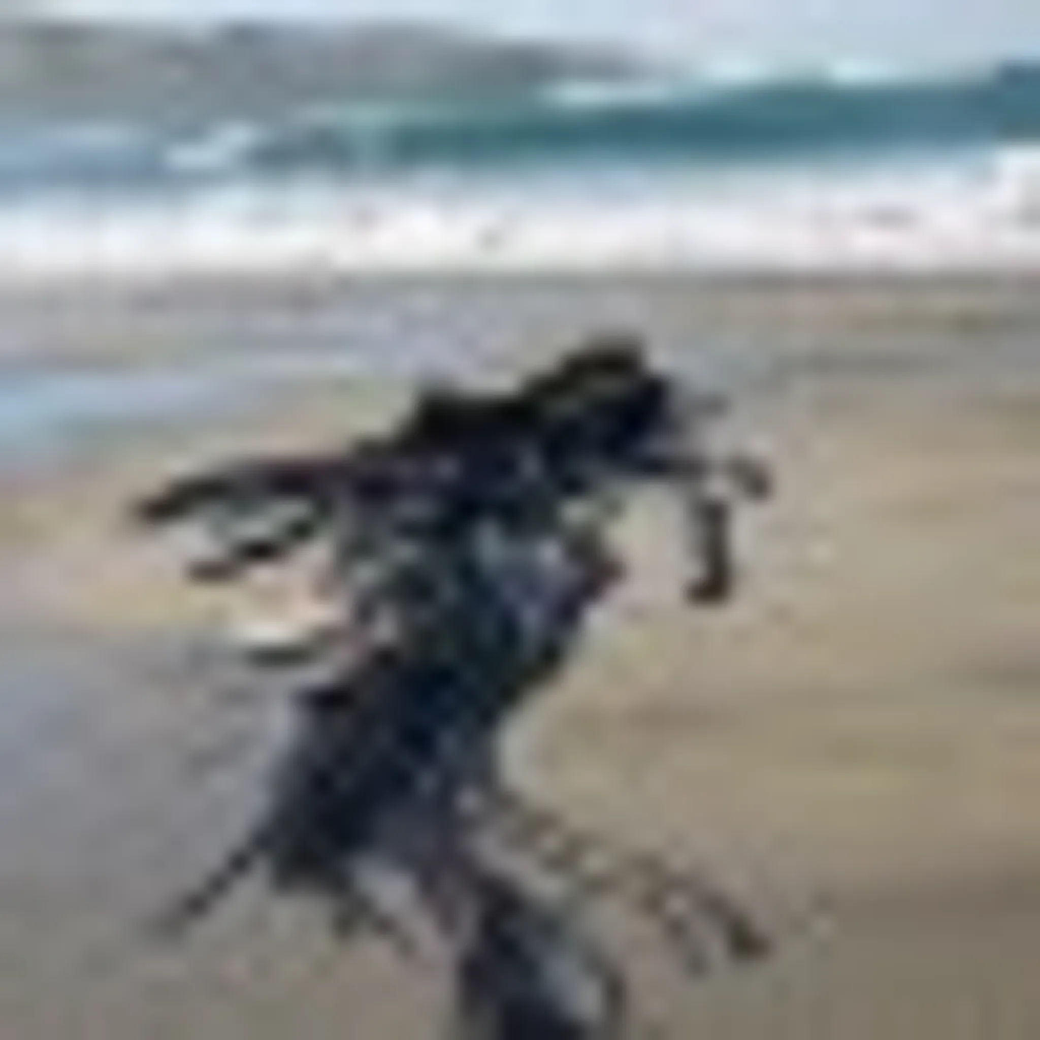 Portobello Bowling Club