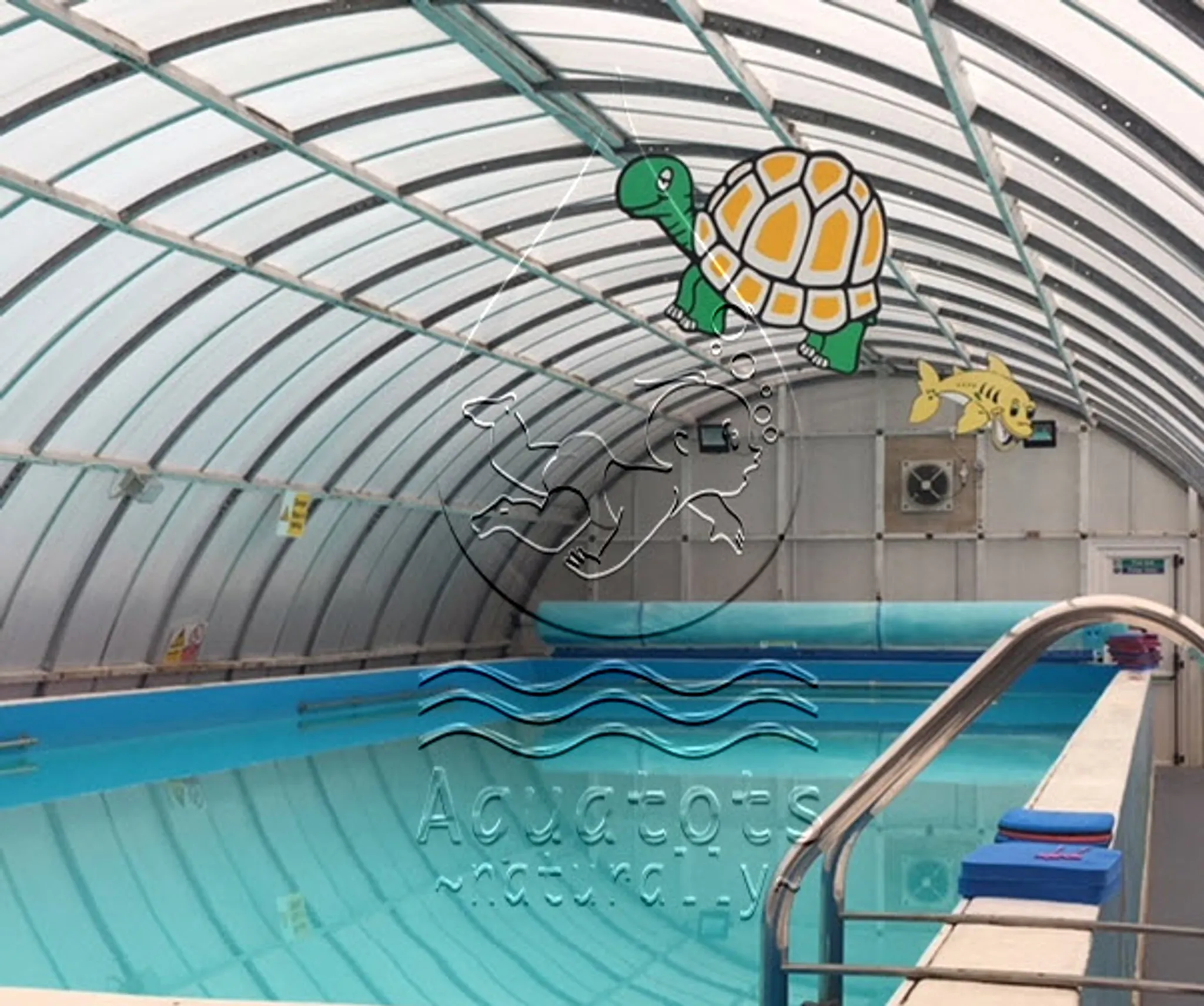 Aquatots Swimming Program