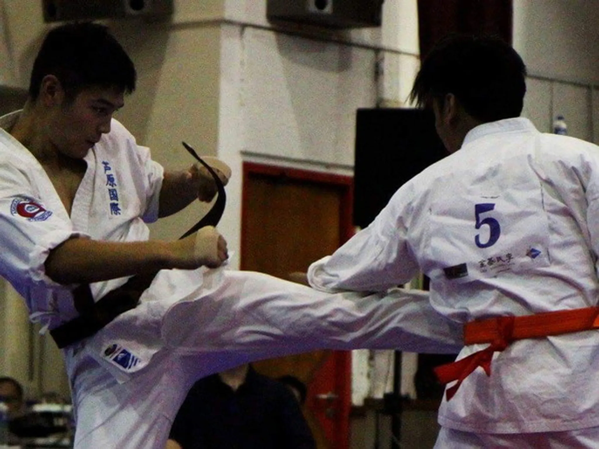 The 1st Karate Champion of Champions