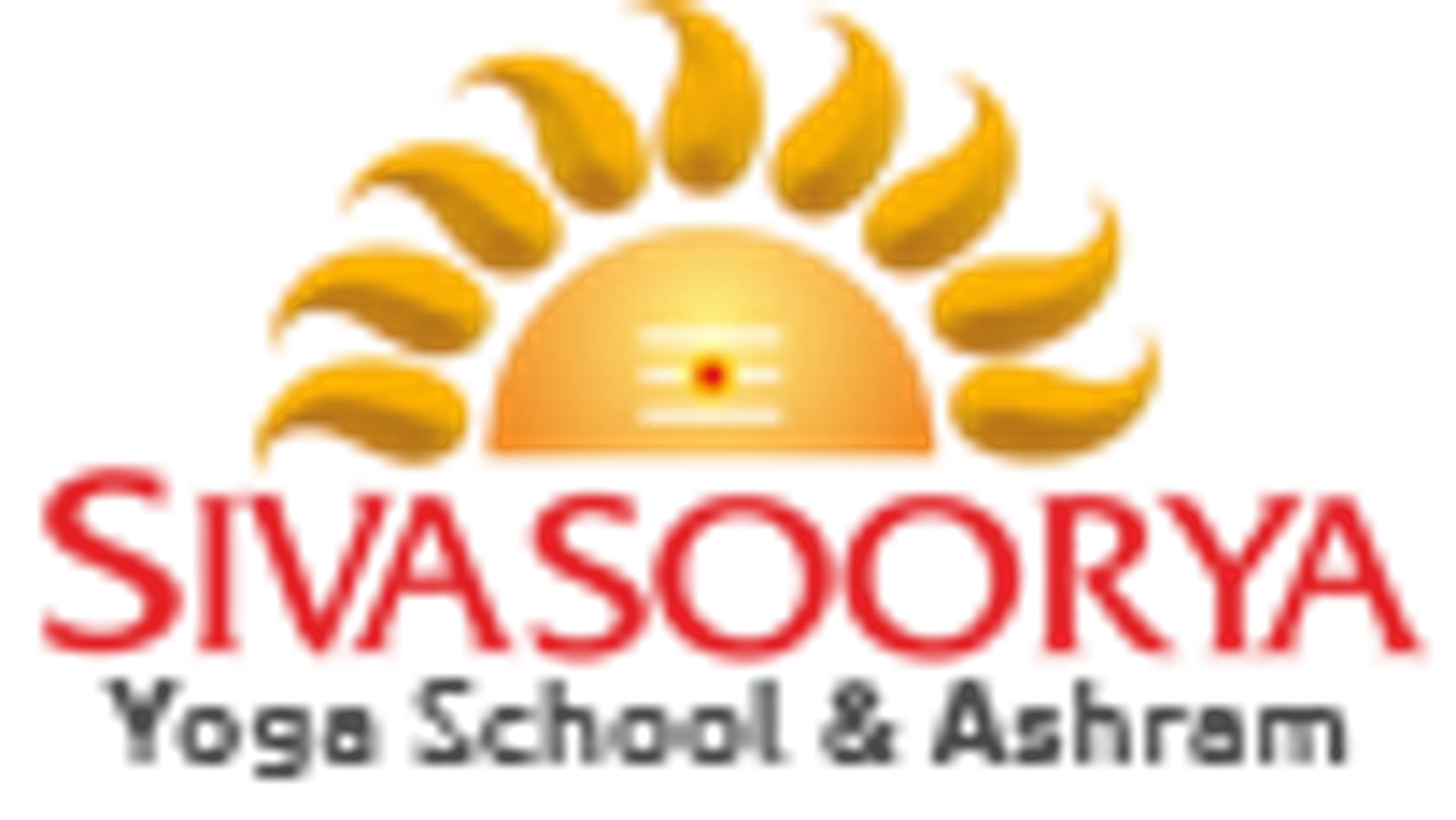 200 Hours Yoga teacher training Kerala India