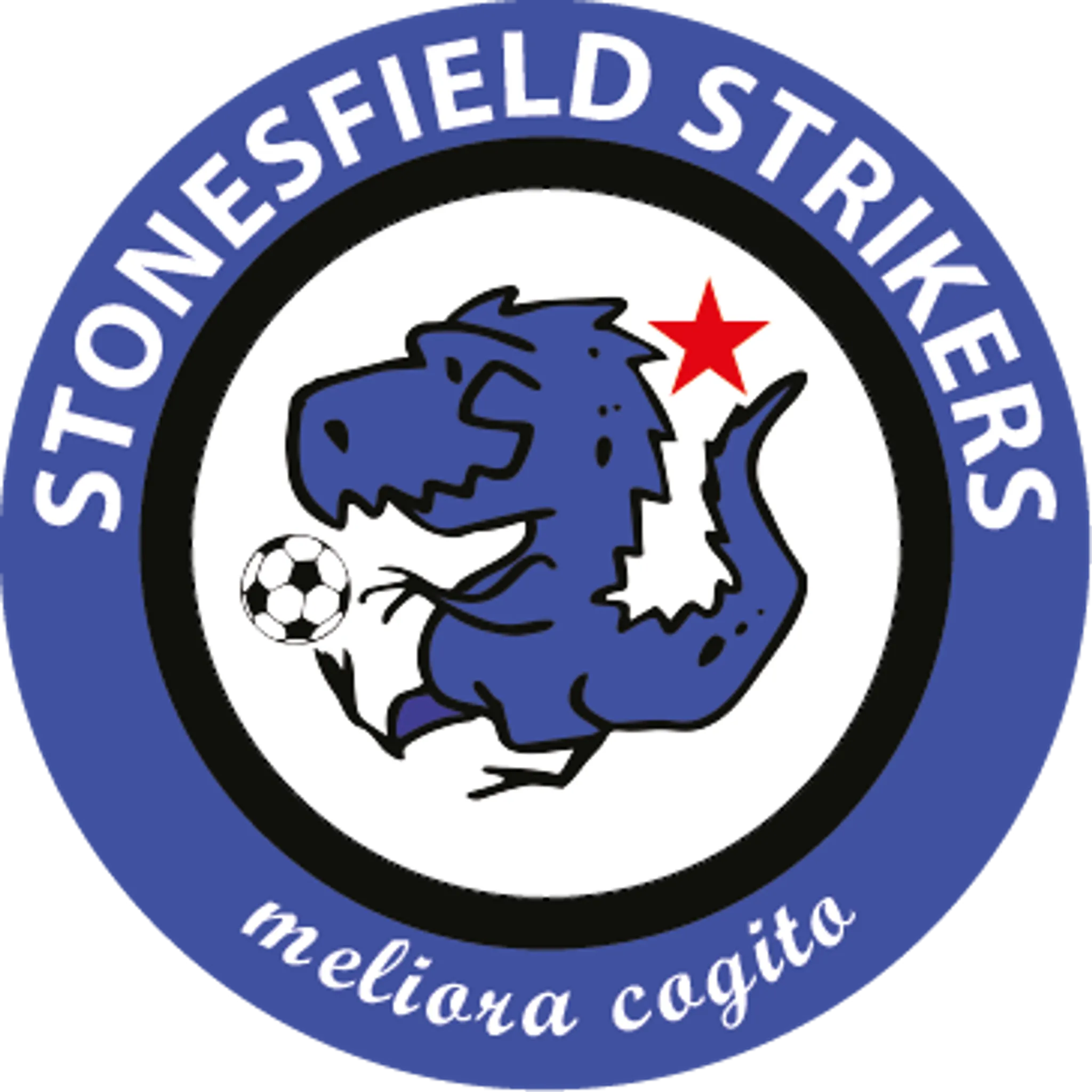 Stonesfield Football Pitch