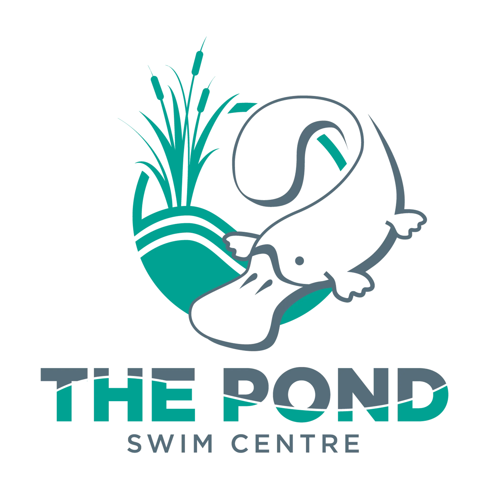 The Pond Swim Centre