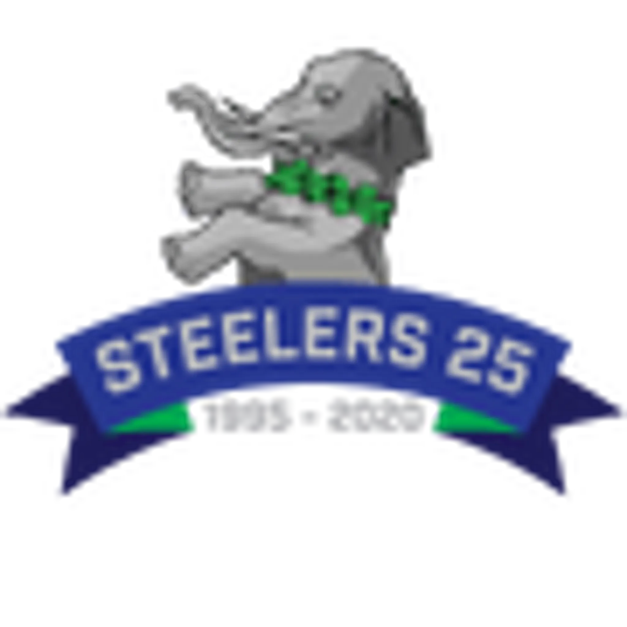 Kings Cross Steelers RFC