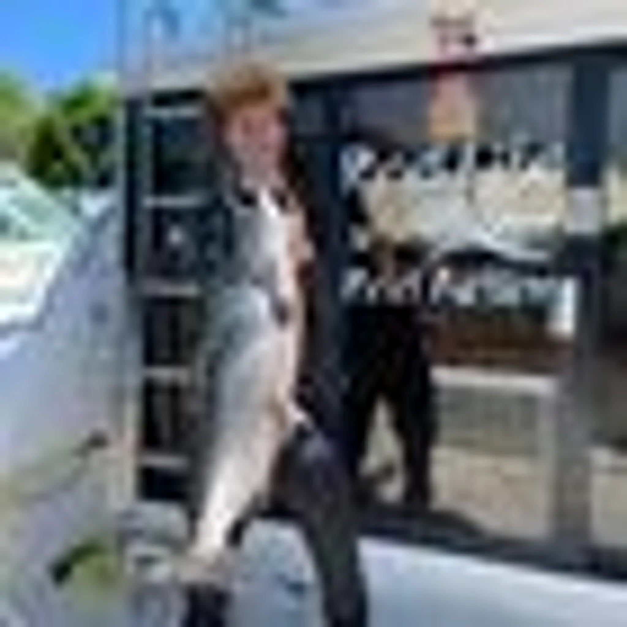 Reel Action Charters