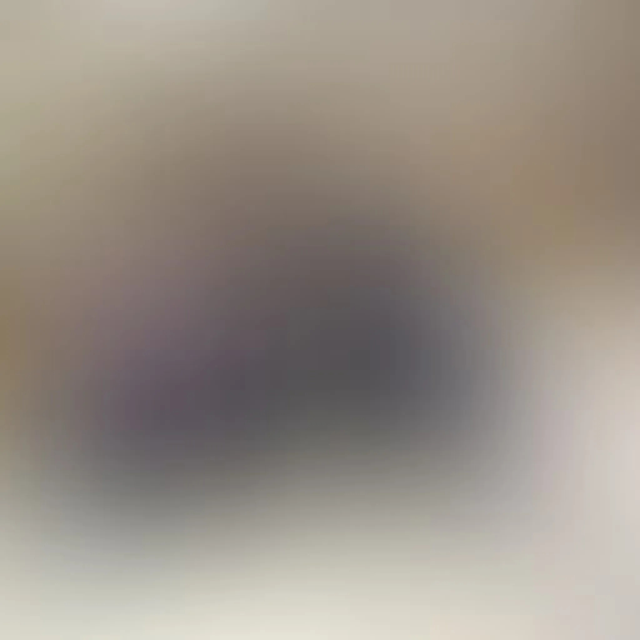 AikiLife Dojo - Aikido and Japanese