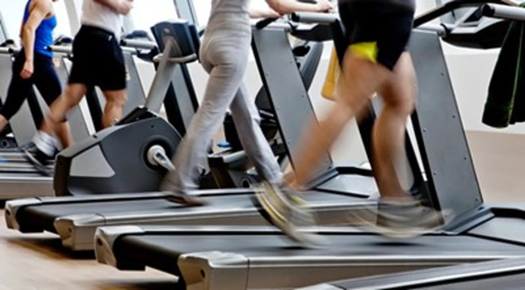 Elmer & Friends Exhibition