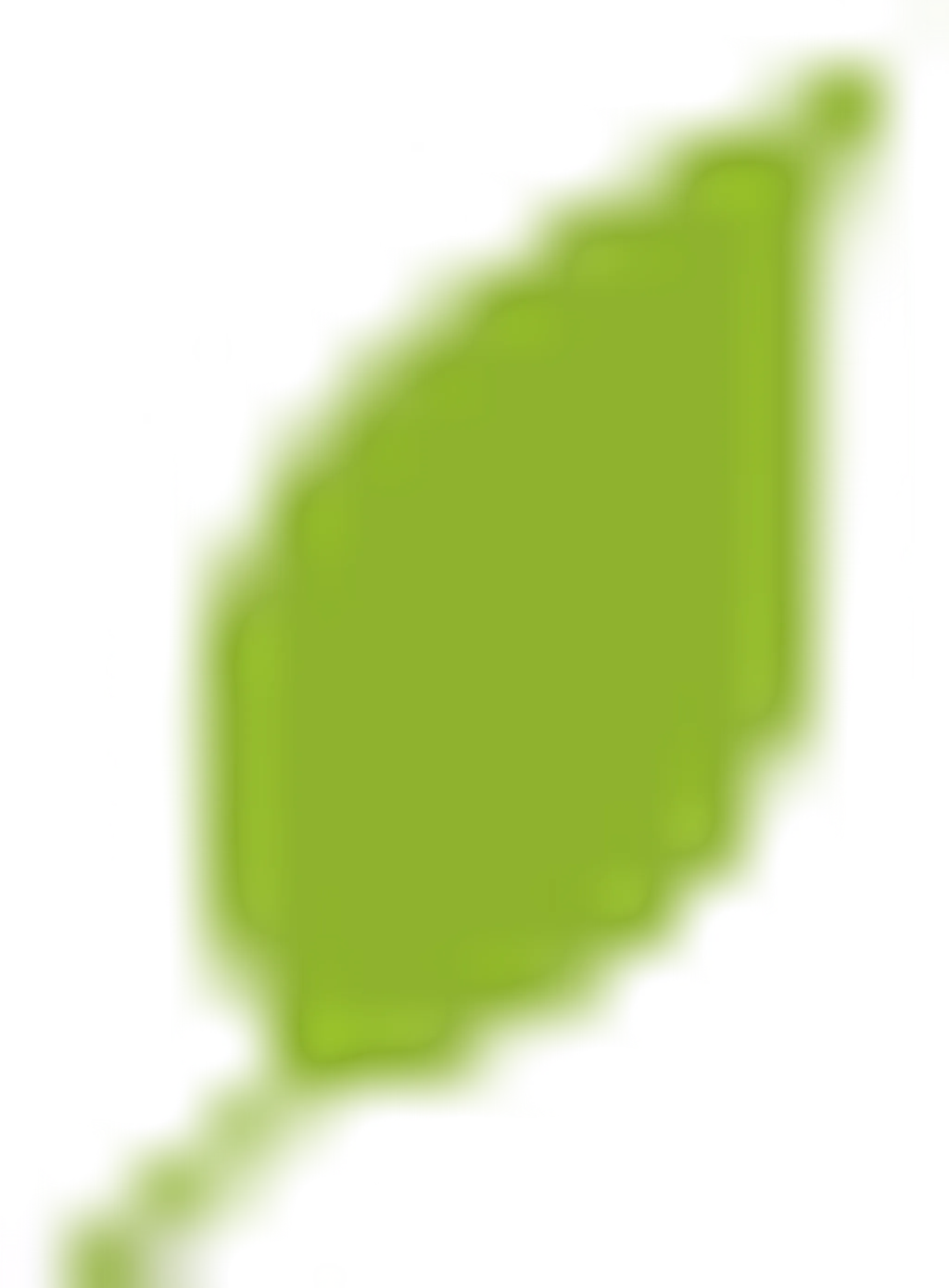 Gympie and District RDA