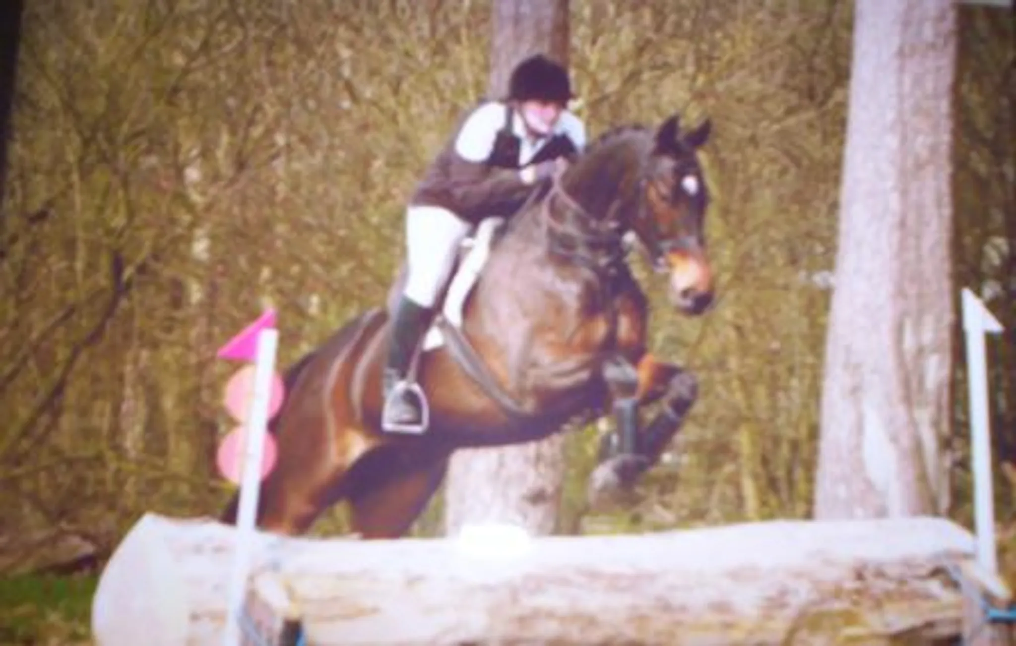 Alsager Equestrian Centre