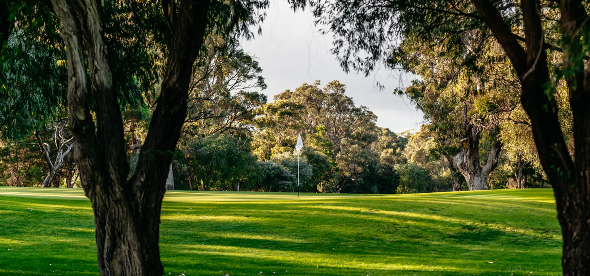 Hamersley Public Golf Course