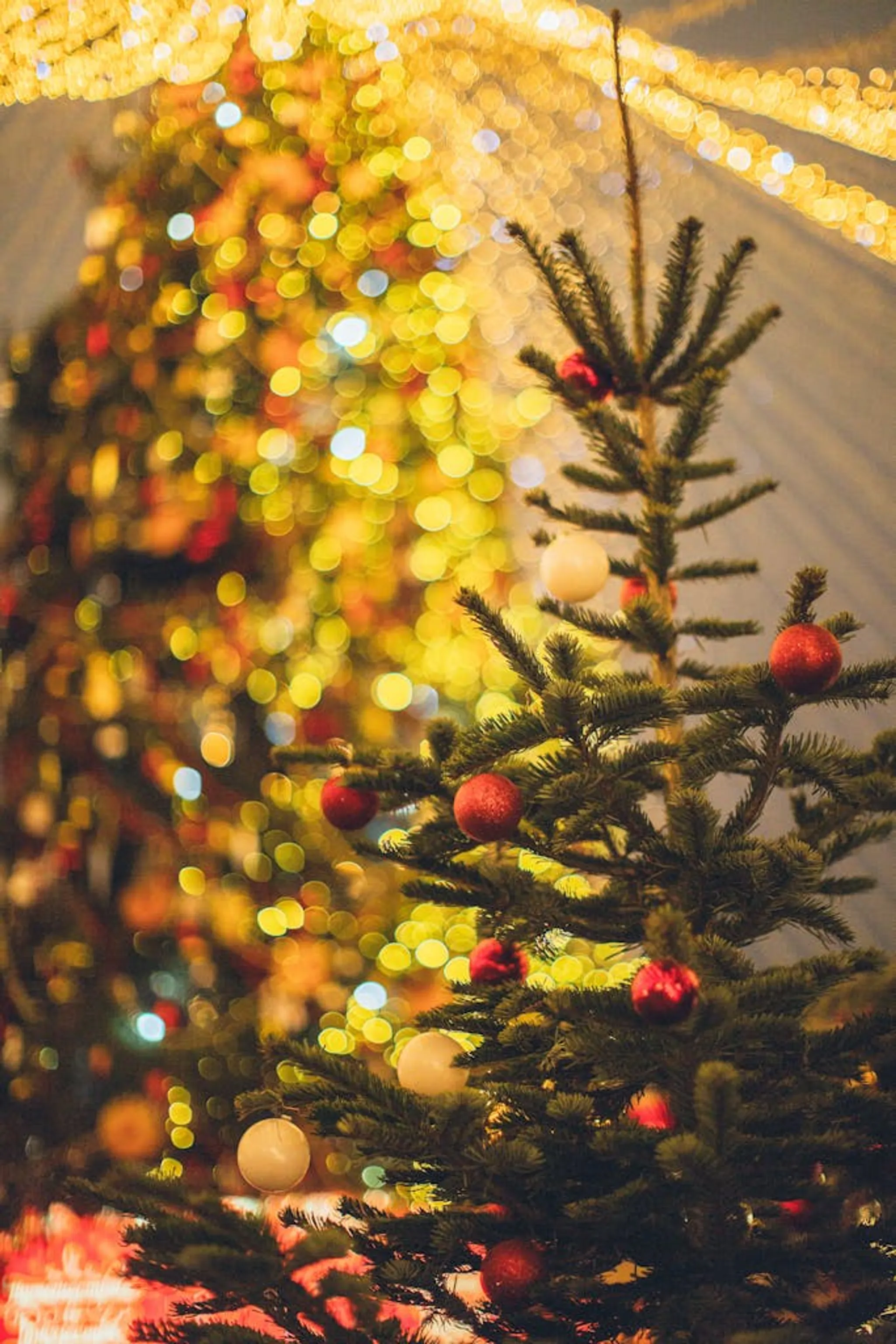 AJ Bell Great Bristol Run