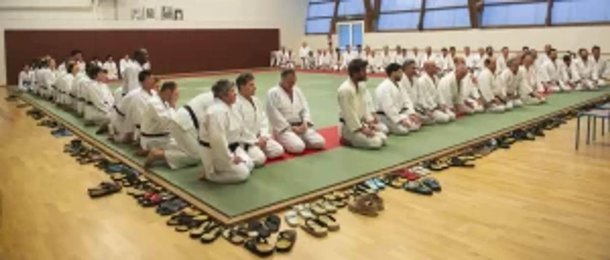 OXGANGS JUJITSU - JUDO (JUNOMICHI) SCHOOL