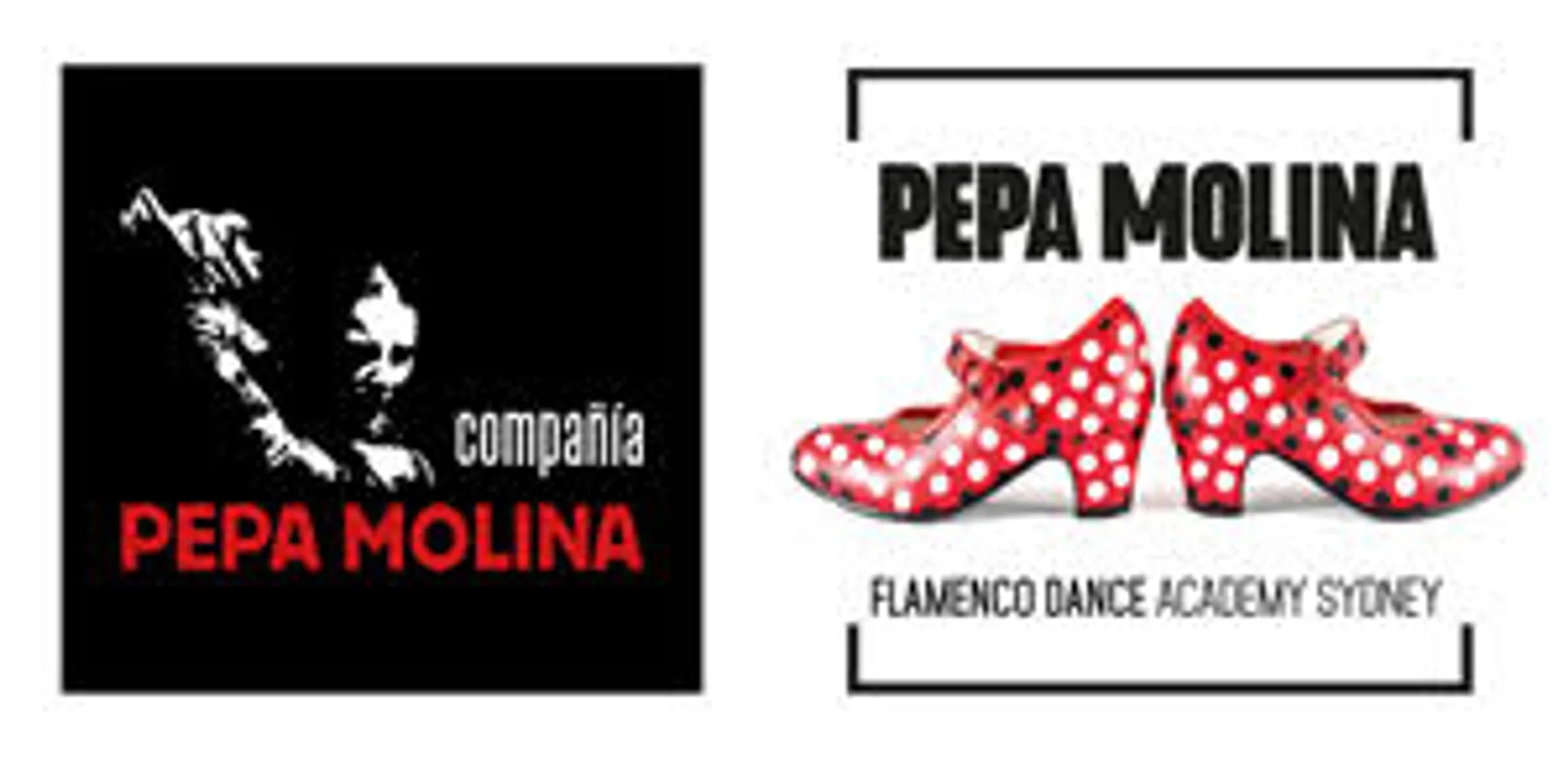 Flamenco Pepa Molina