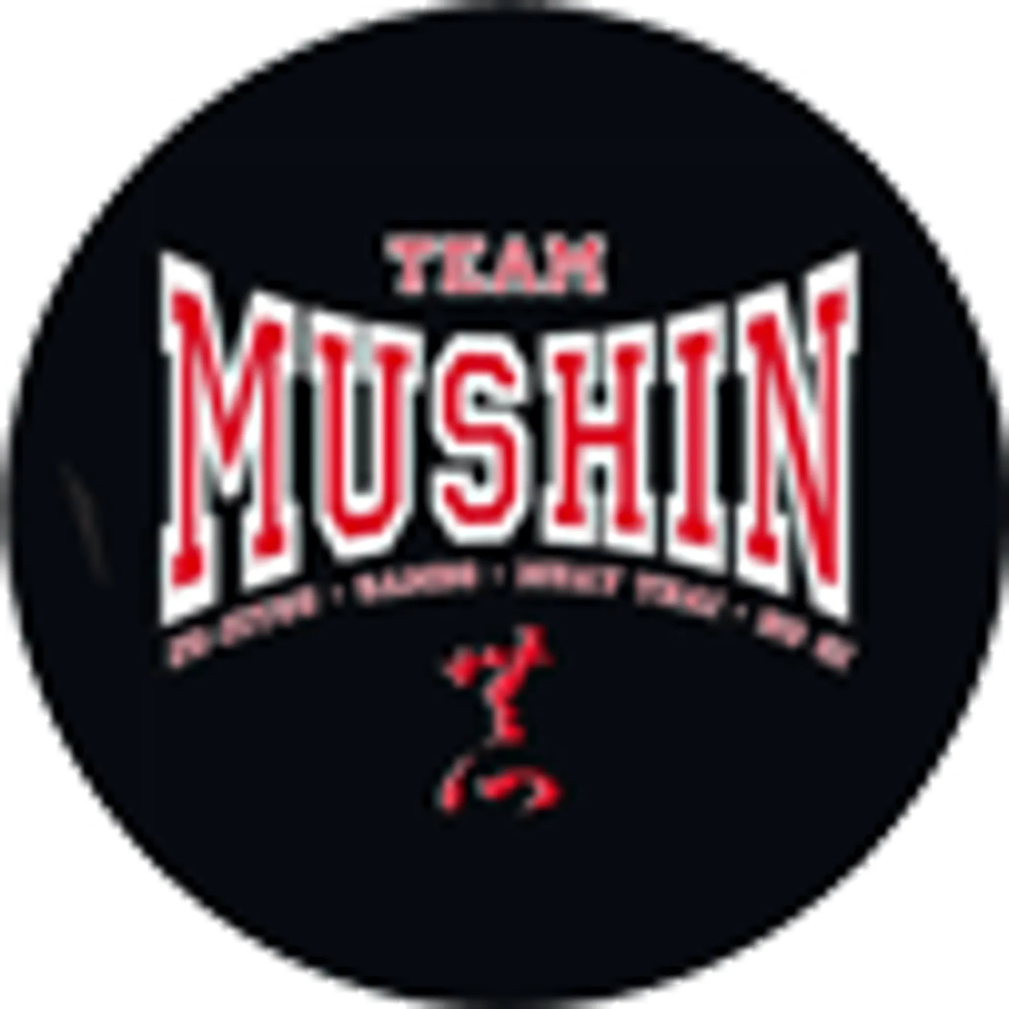 Mushin Combat Academy