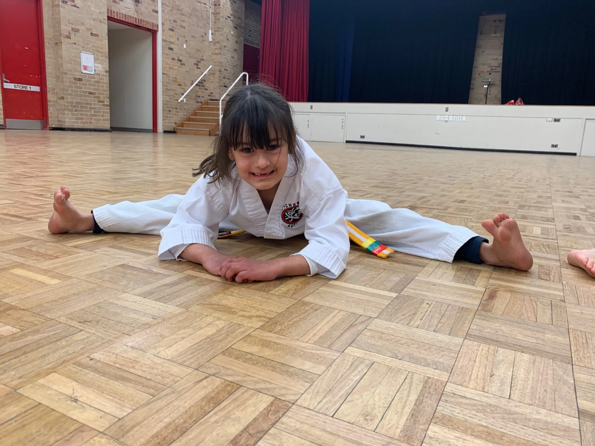 Psychkwondo Annual Championships