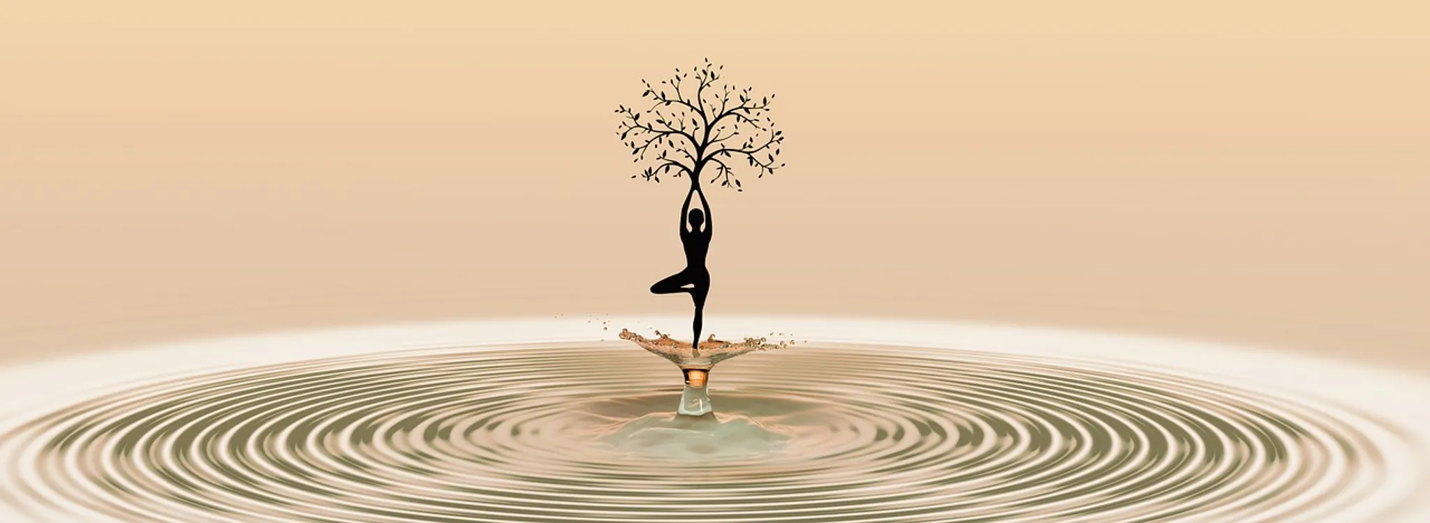 Silent Mindfulness Retreat