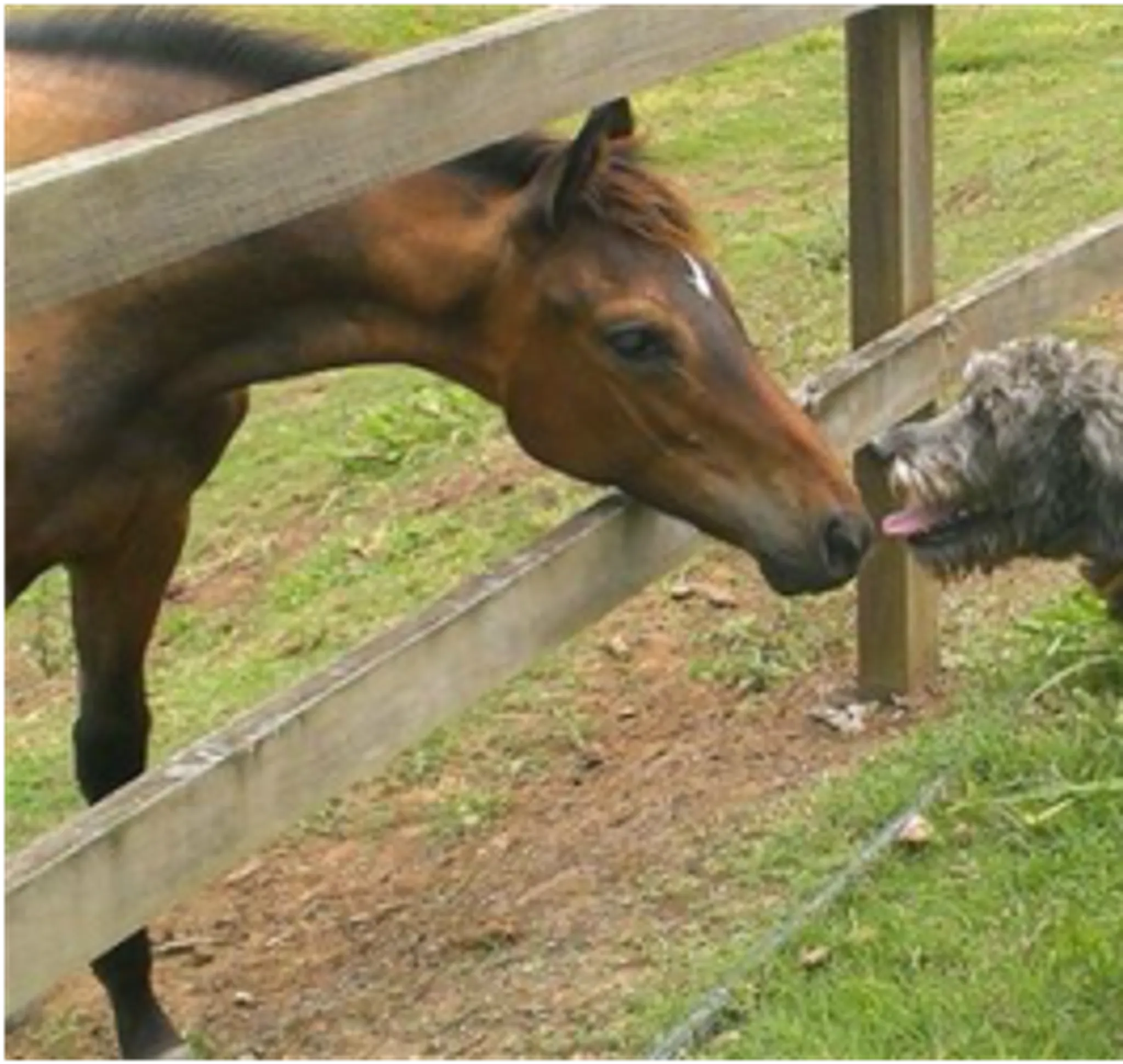 Sundown Lodge Equestrian