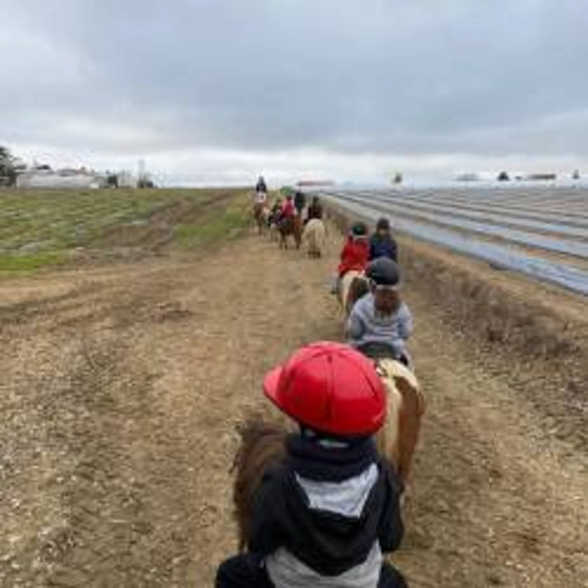 Equestrian Center Des Roseaux De Goulaine