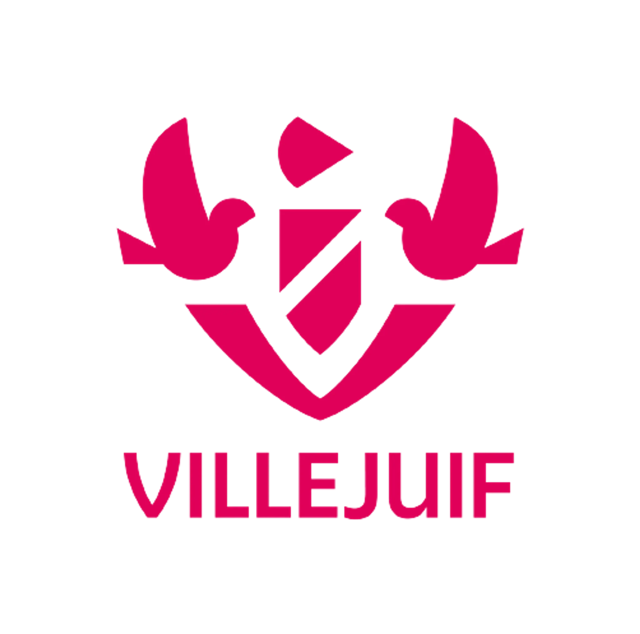 VILLEJUIF VOLLEY (USV)
