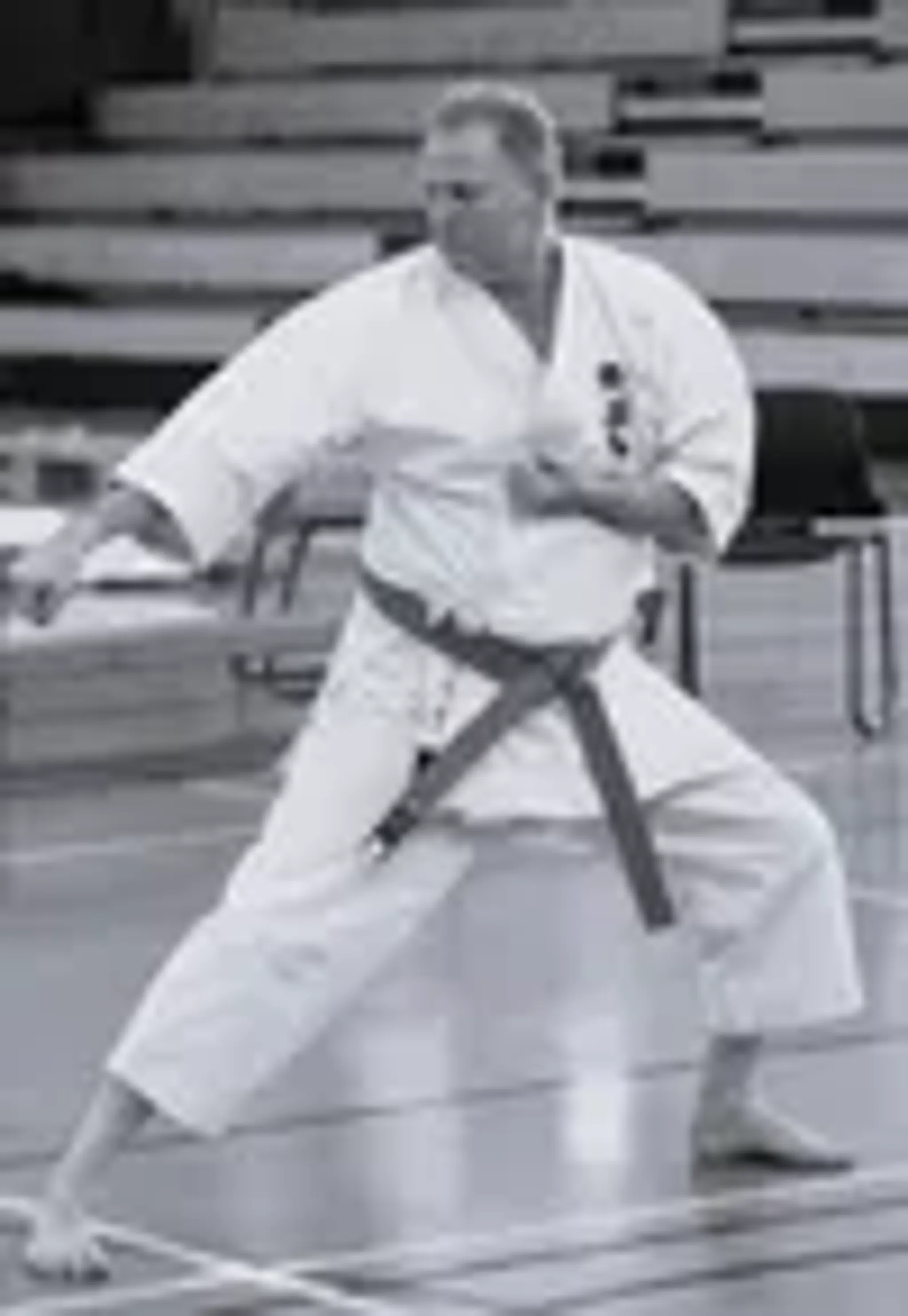 Tobi Ishi Kai Karate Schools