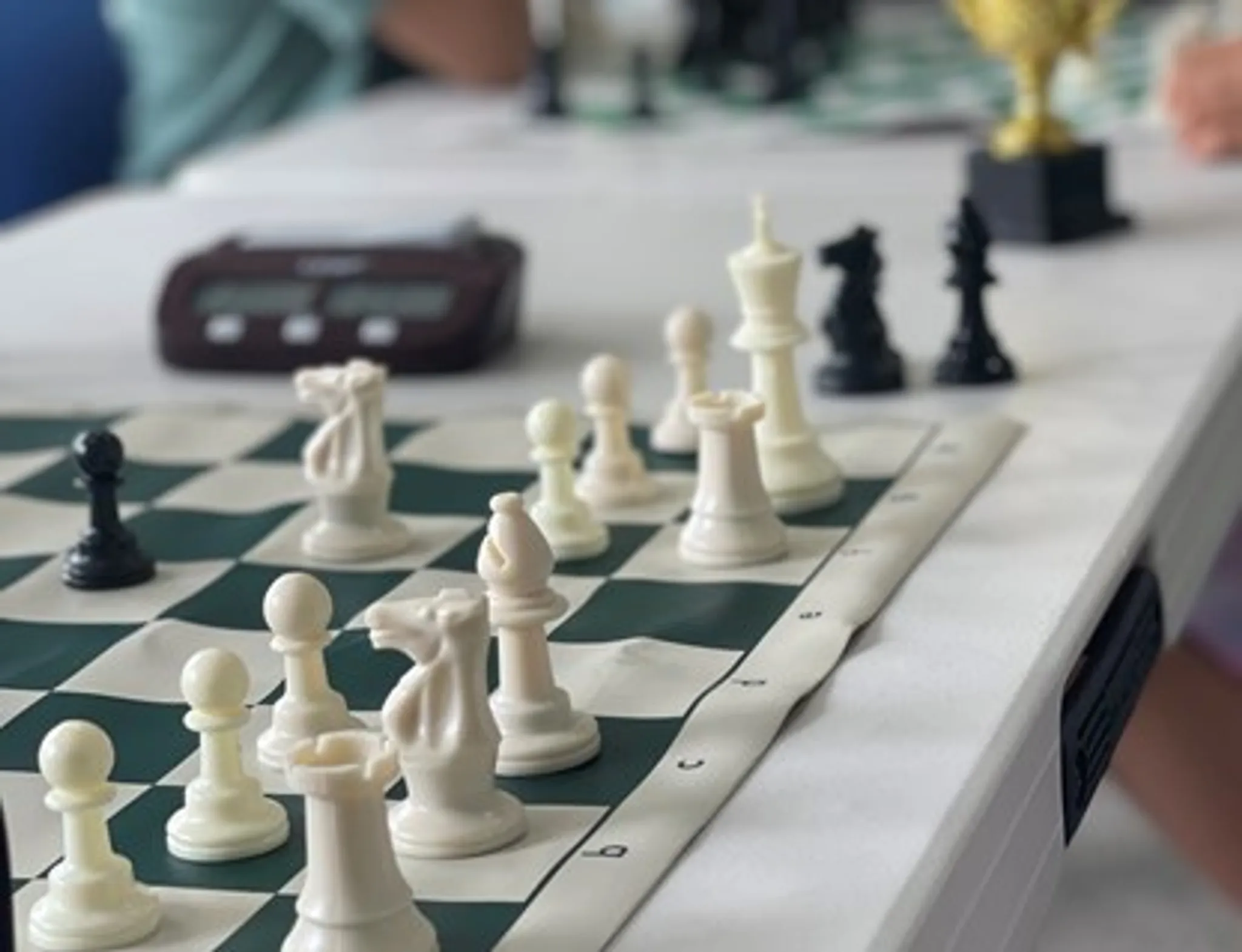 Debating Wallabies Course