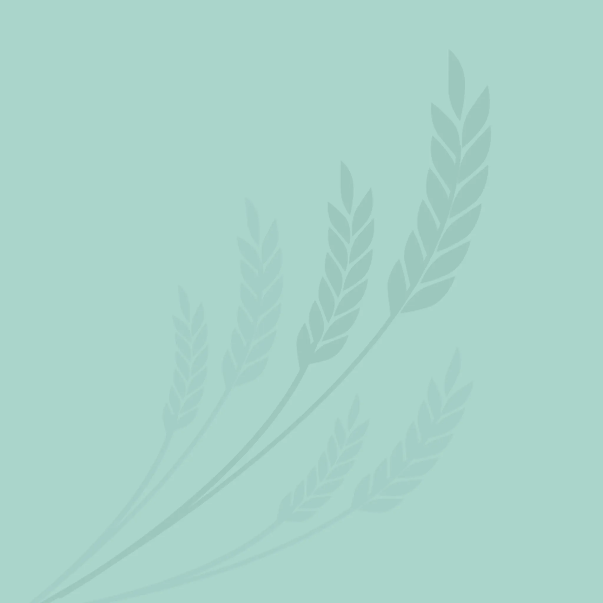 Lake Grace Swimming Pool