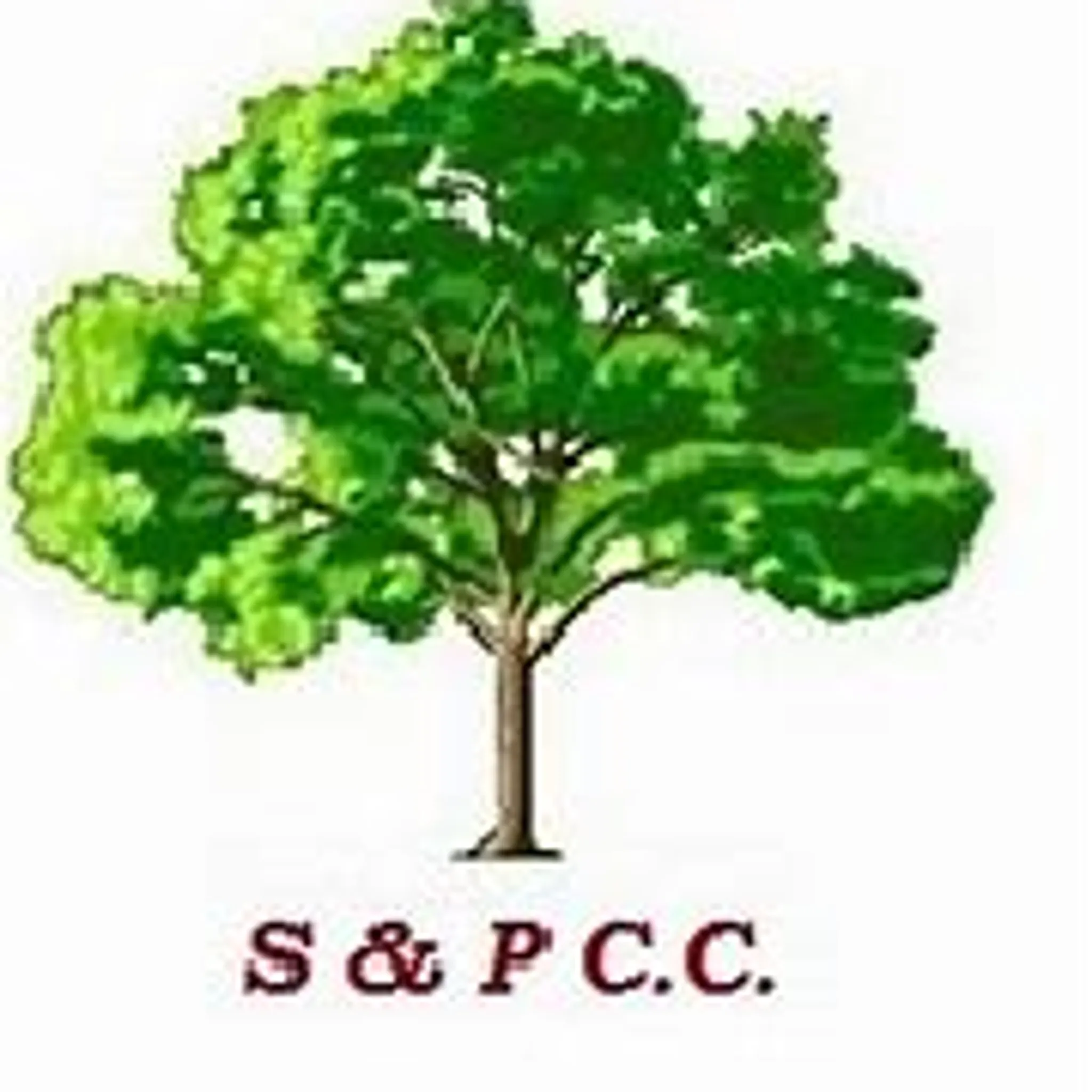 winscombe cricket club