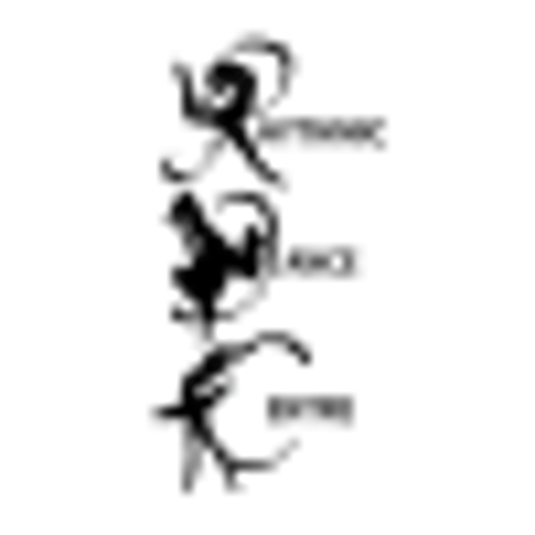 Rhythmic Dance Centre Bellerive