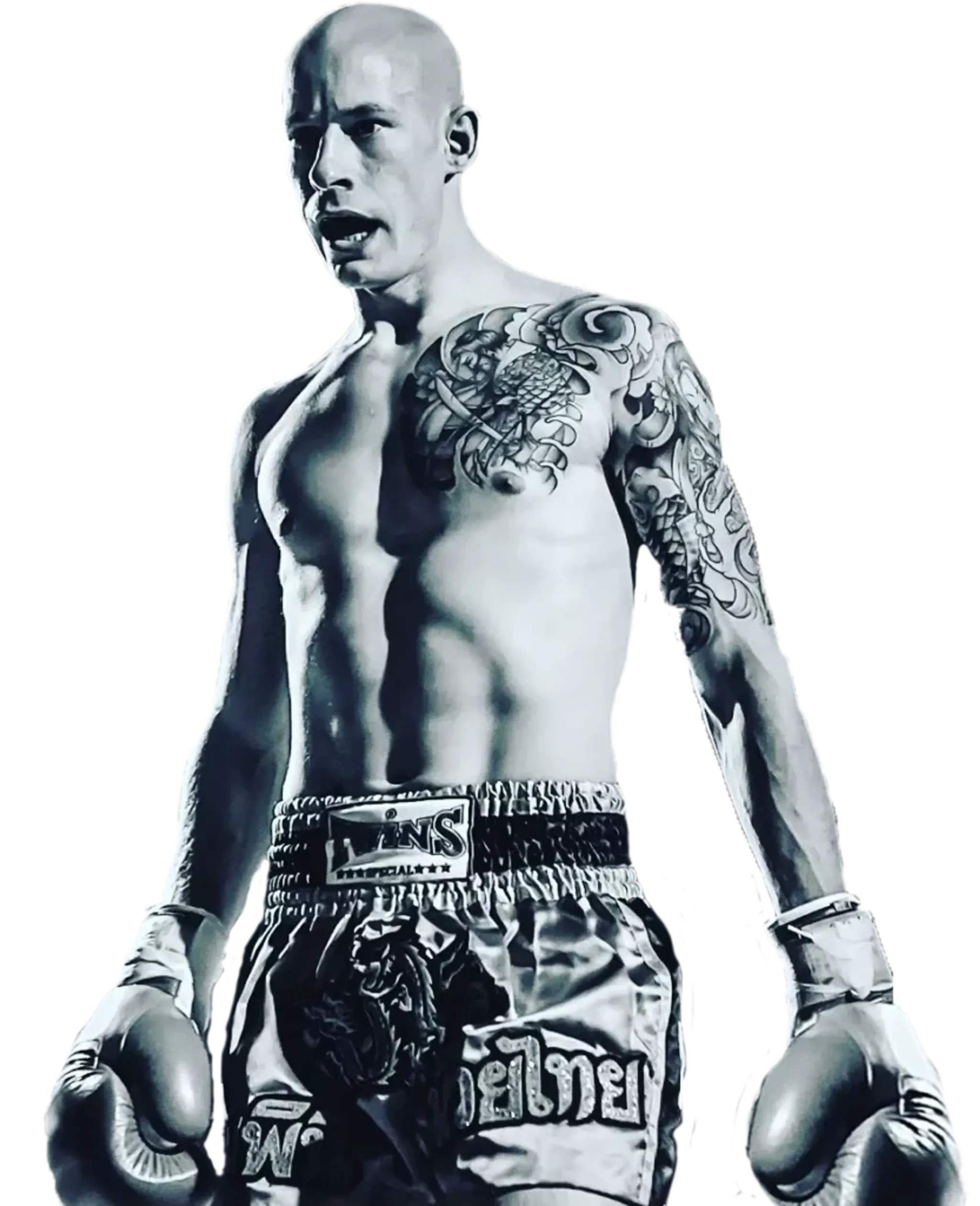 Yeovil Martial Arts Academy