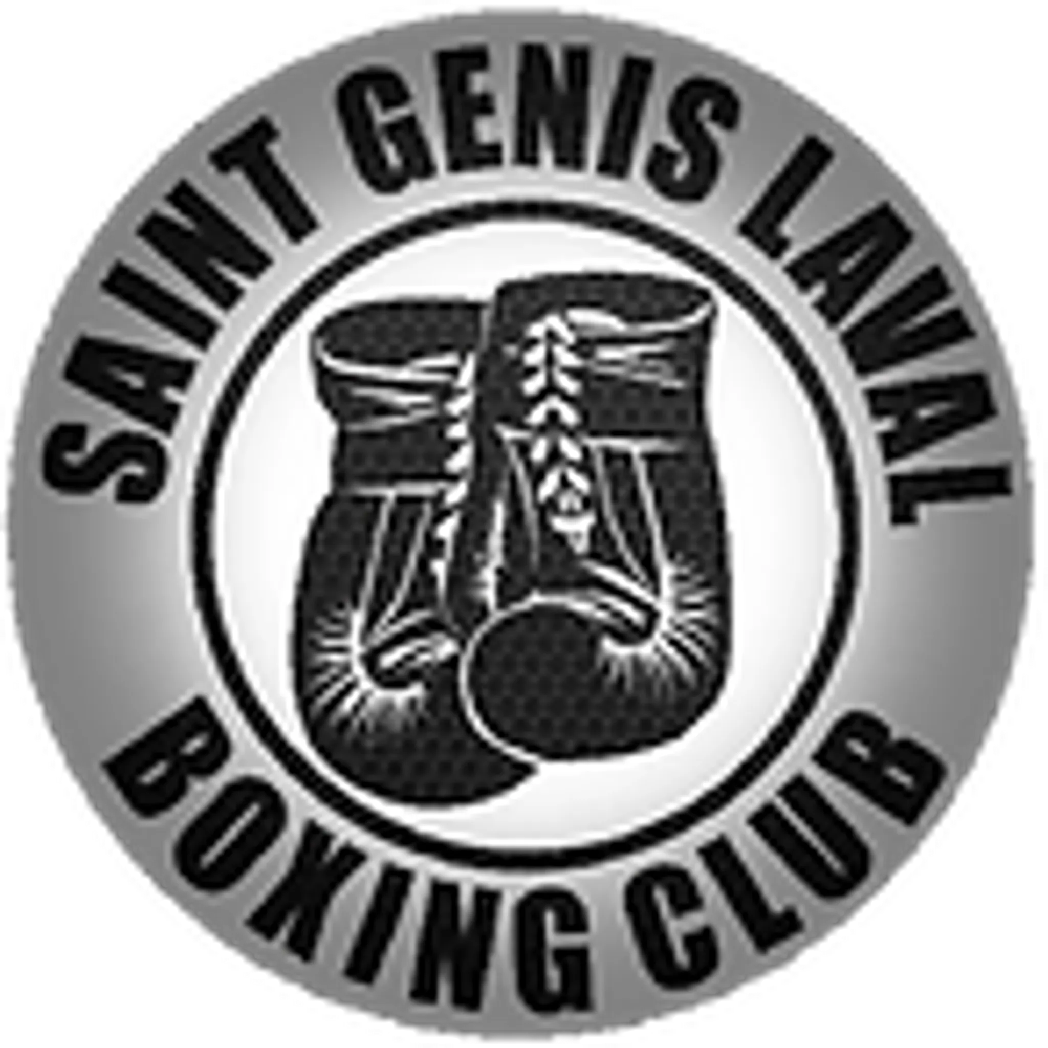 Saint Genis Laval Boxe