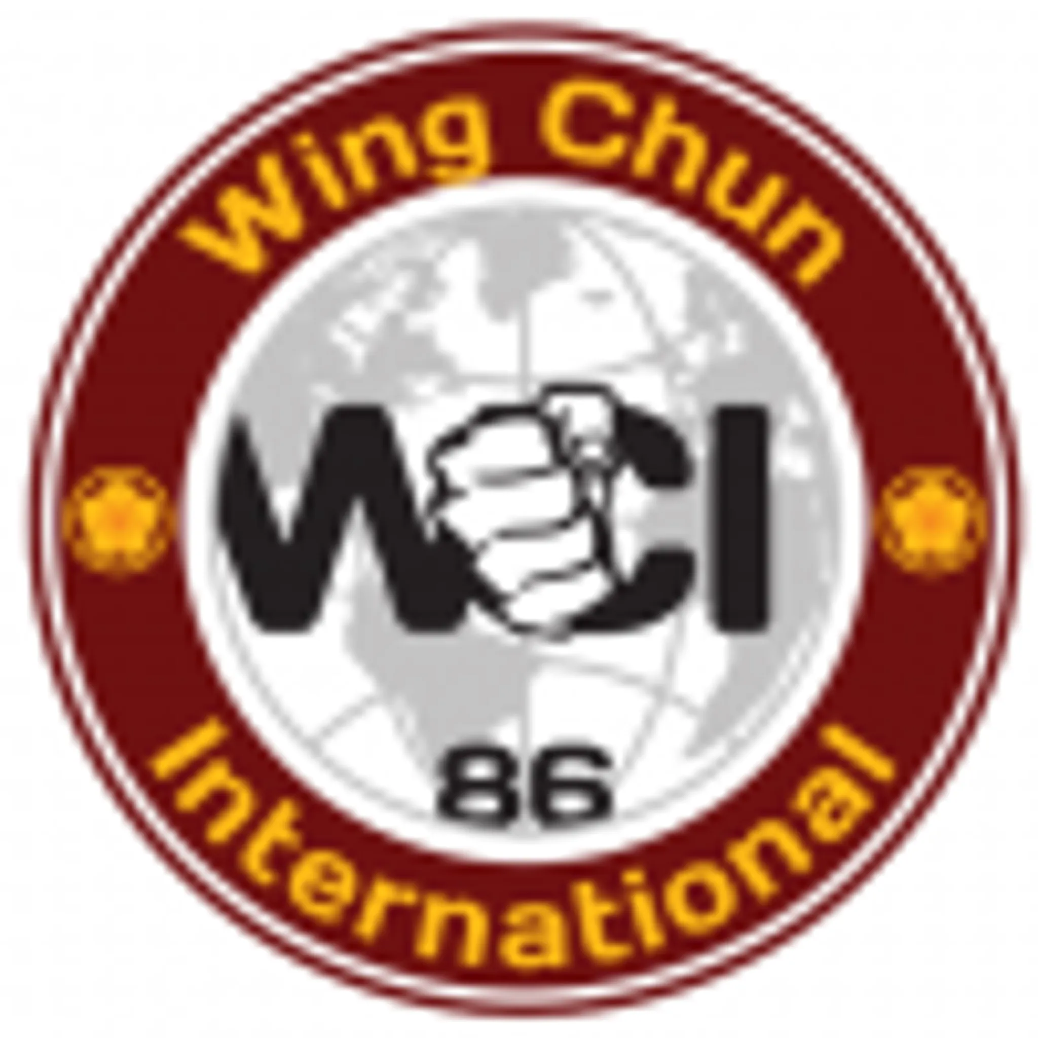 Wing Chun International Reading