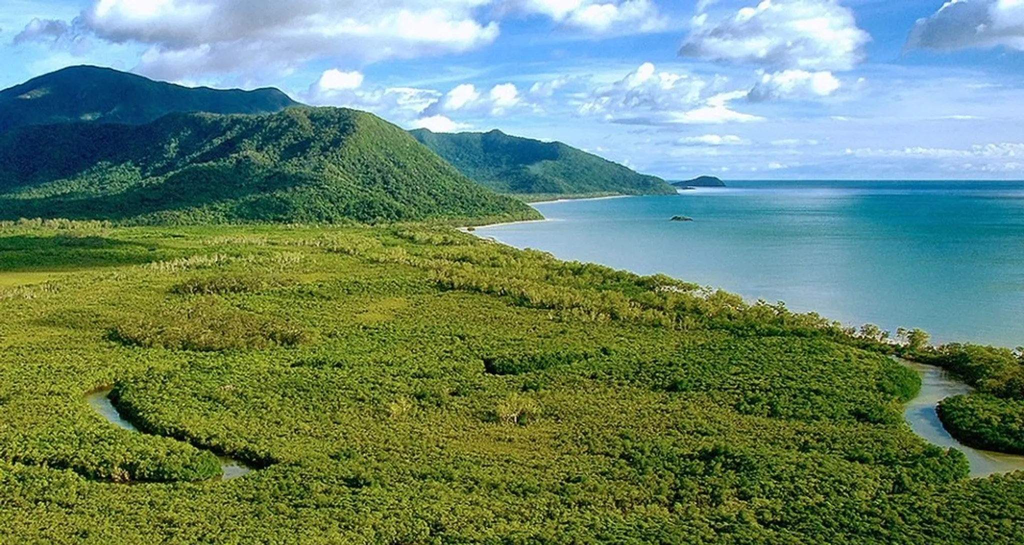 Cape Tribulation & Daintree Rainforest Tour