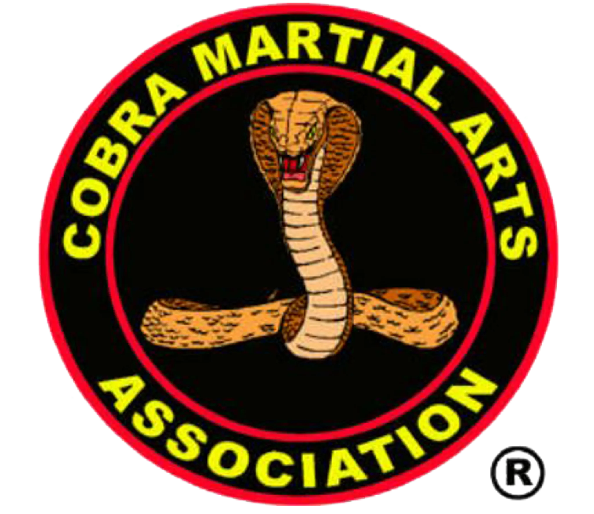 LANCING FREESTYLE KARATE