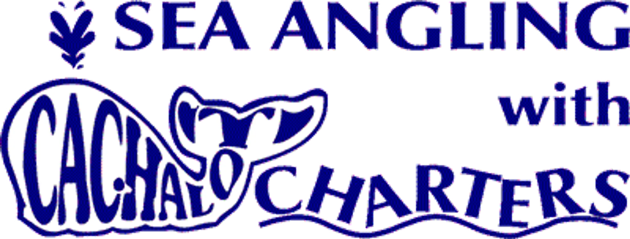 Cachalot Charters