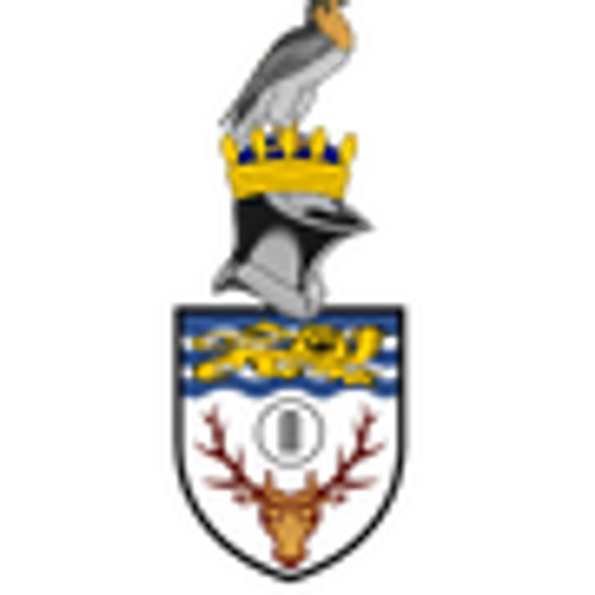 Bagshot Cricket Club